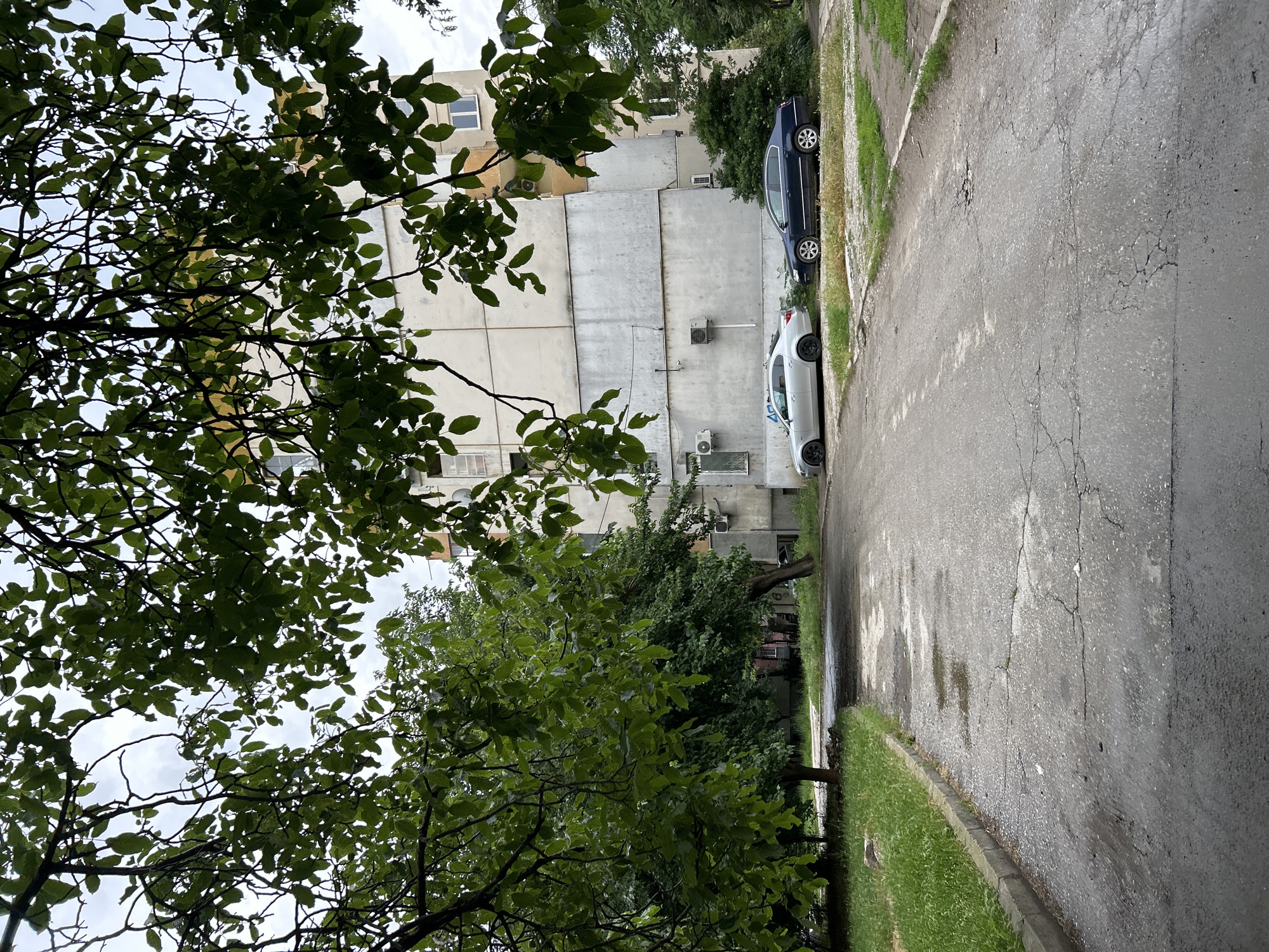 Overcast afternoon documented in Plovdiv residential area with family moments