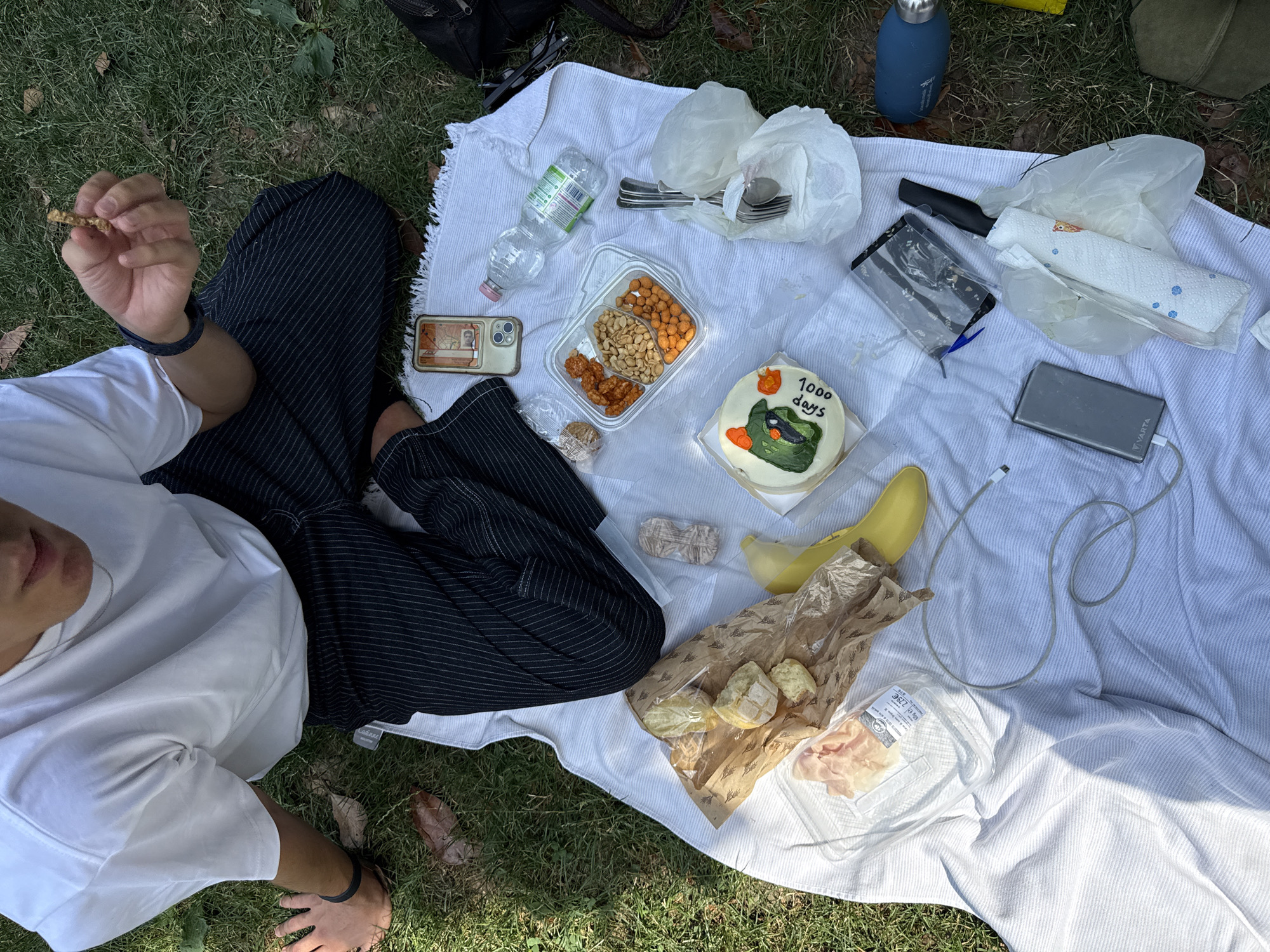 1000-day celebration picnic in a Milan park