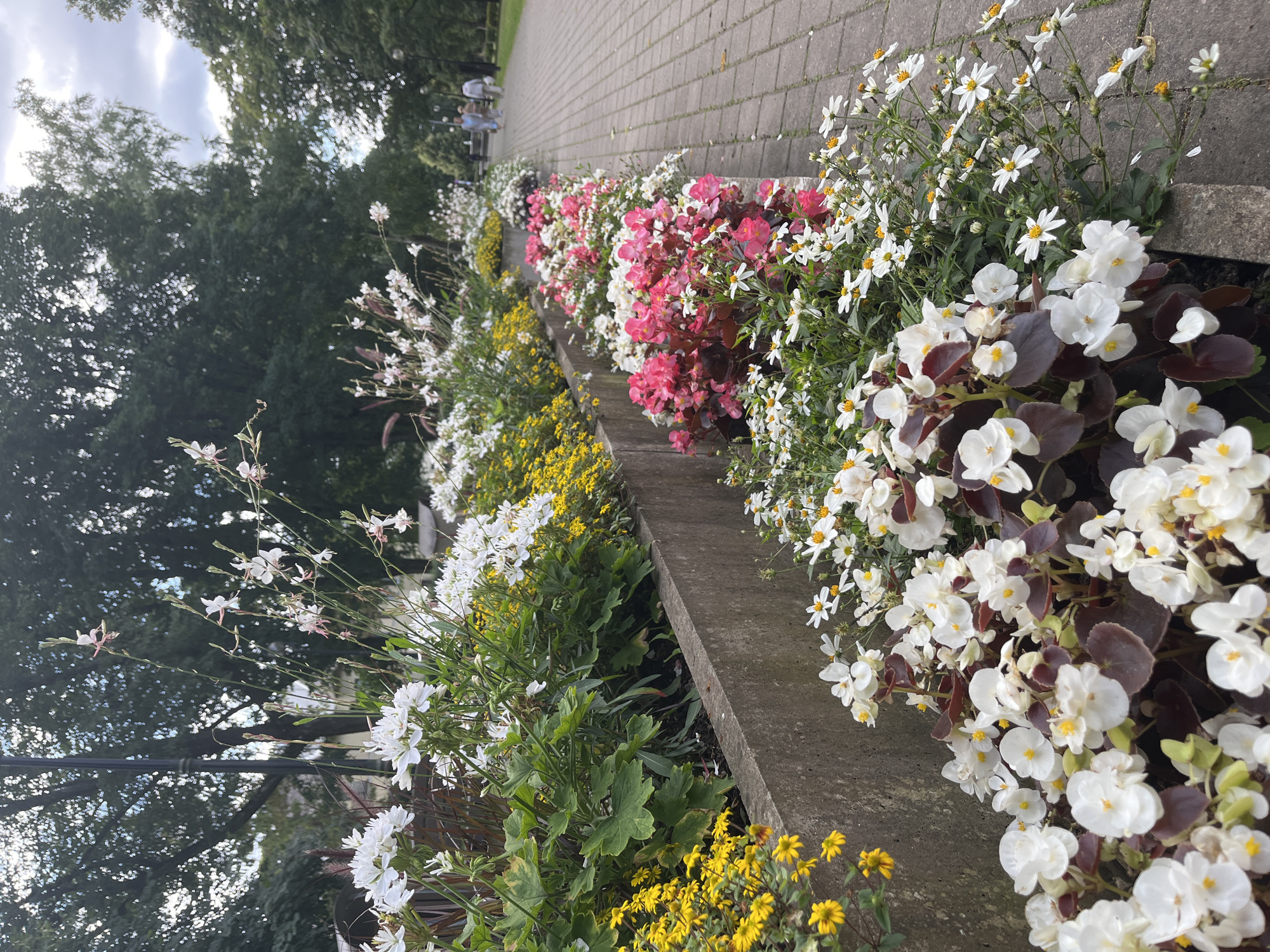 Summer park scenes from Kohtla-Järve: flowers, fountain, and green space
