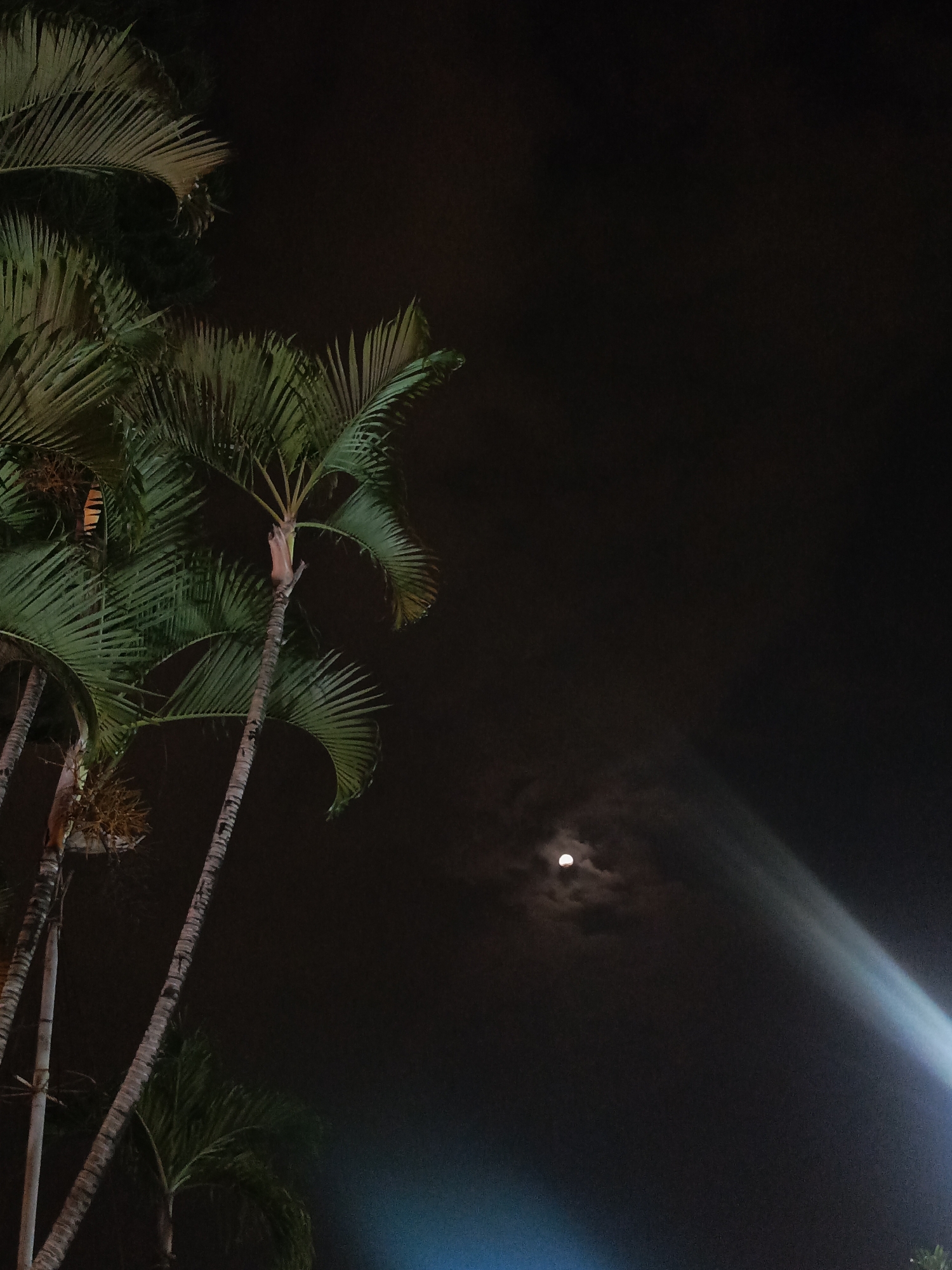 Night scenes and ice cream moments captured in Guayaquil