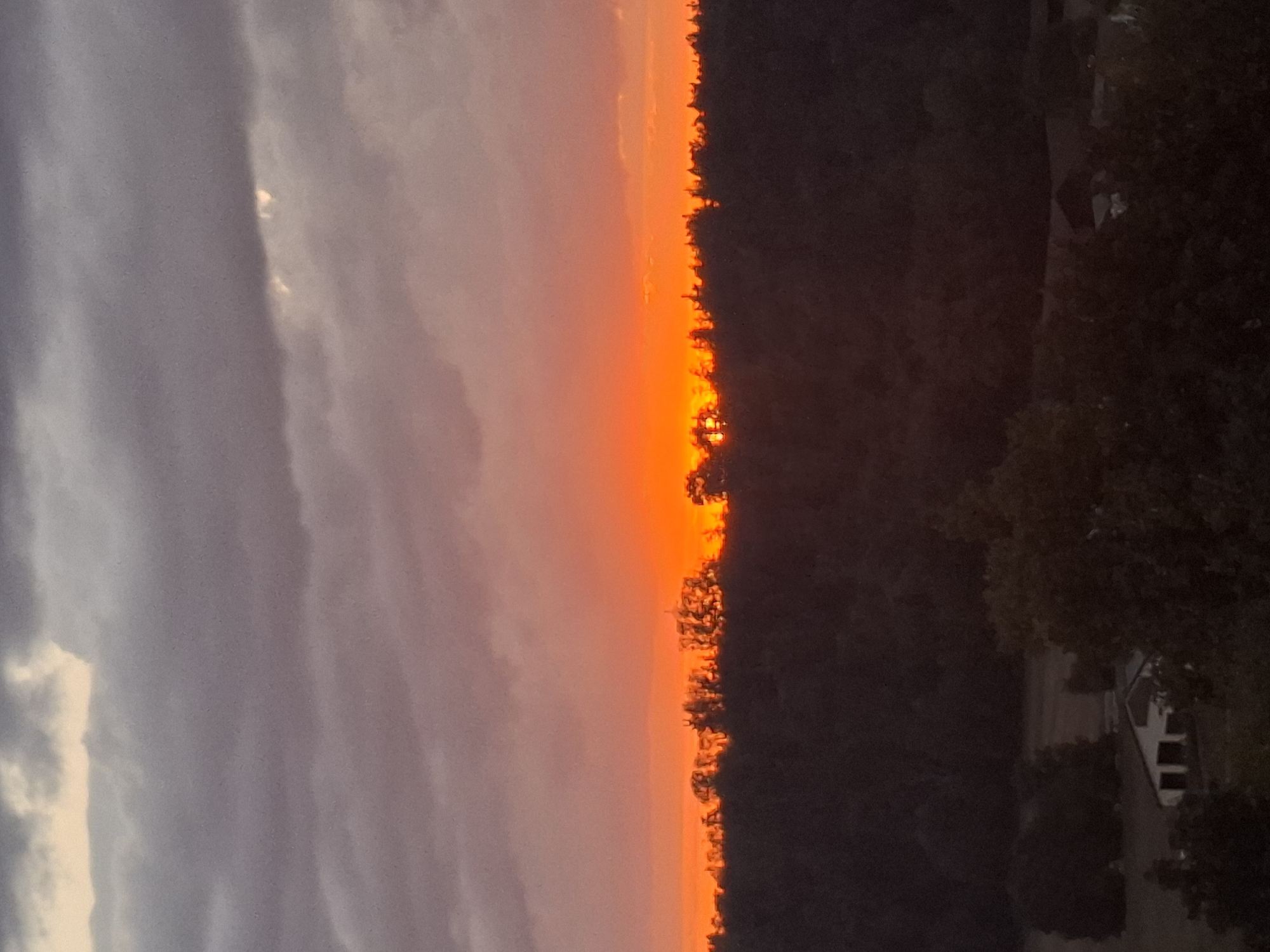 Fiery sunset over the tree line in Wangen im Allgäu