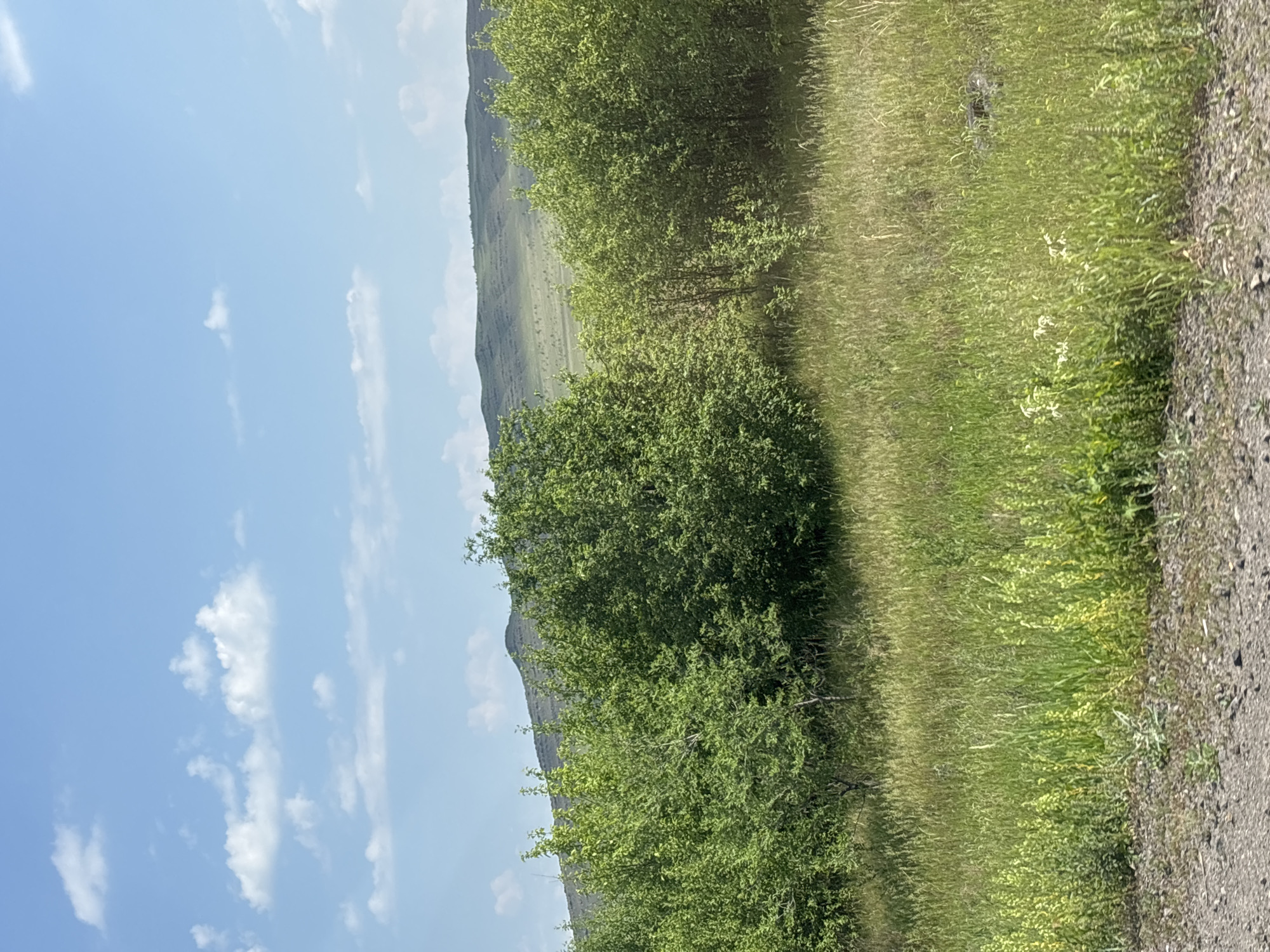 Road trip documented through rural Borodino, Russia countryside