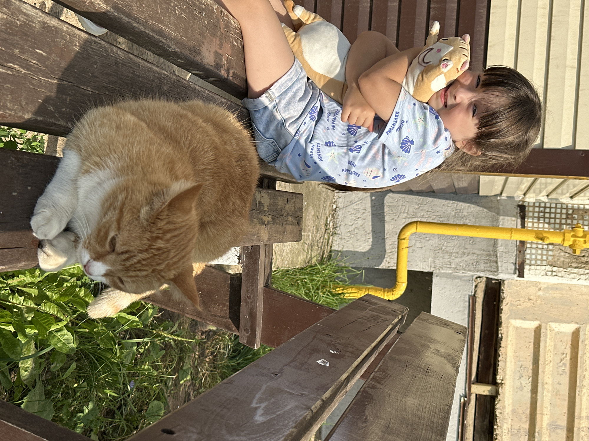 A lazy summer afternoon around Chaikovsky, Russia