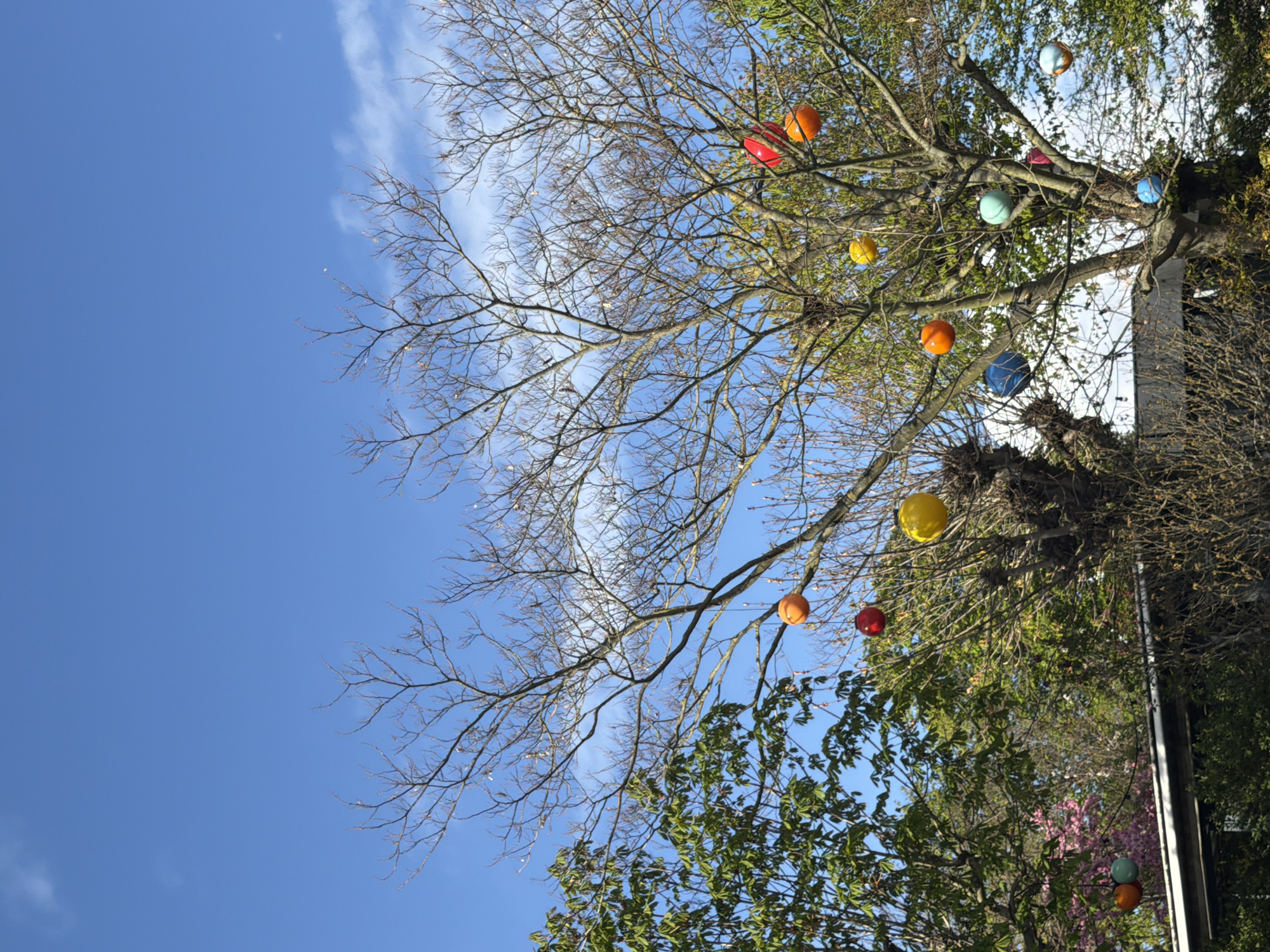 Urban landscape and gardens documented in Suresnes, France