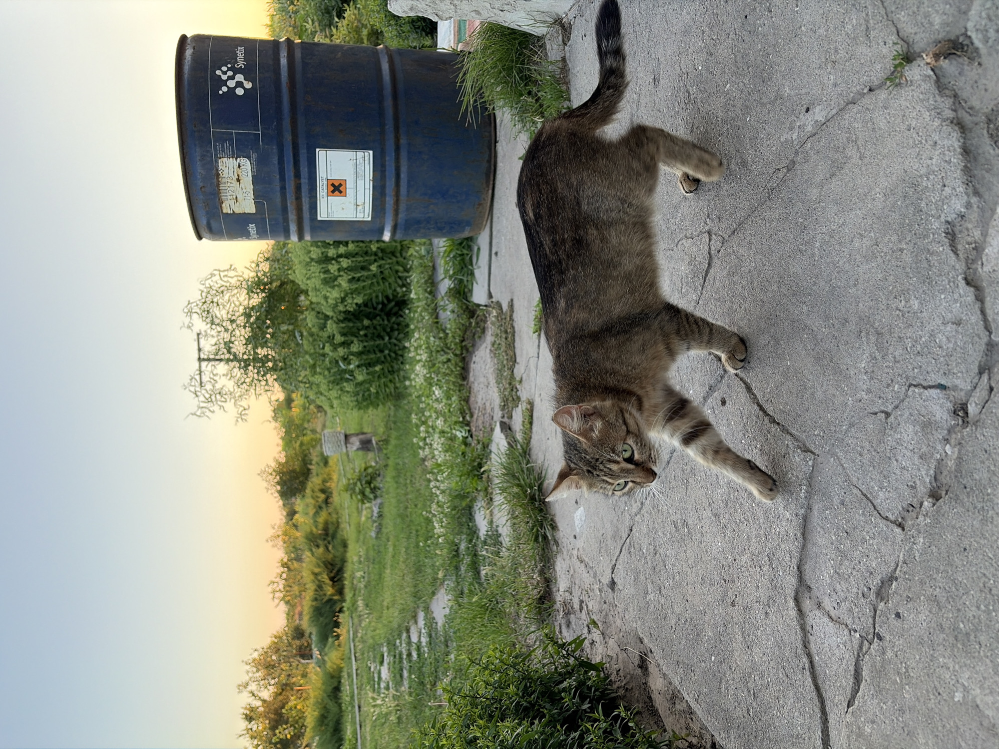 Backyard grilling and rural life in a Ukrainian village