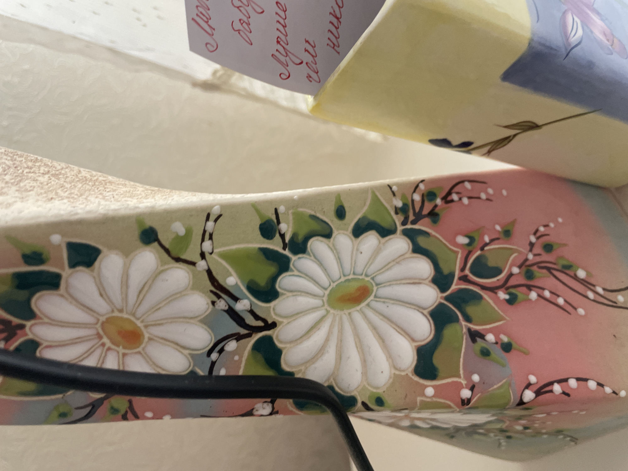 Domestic life documented across Russian household over morning hour