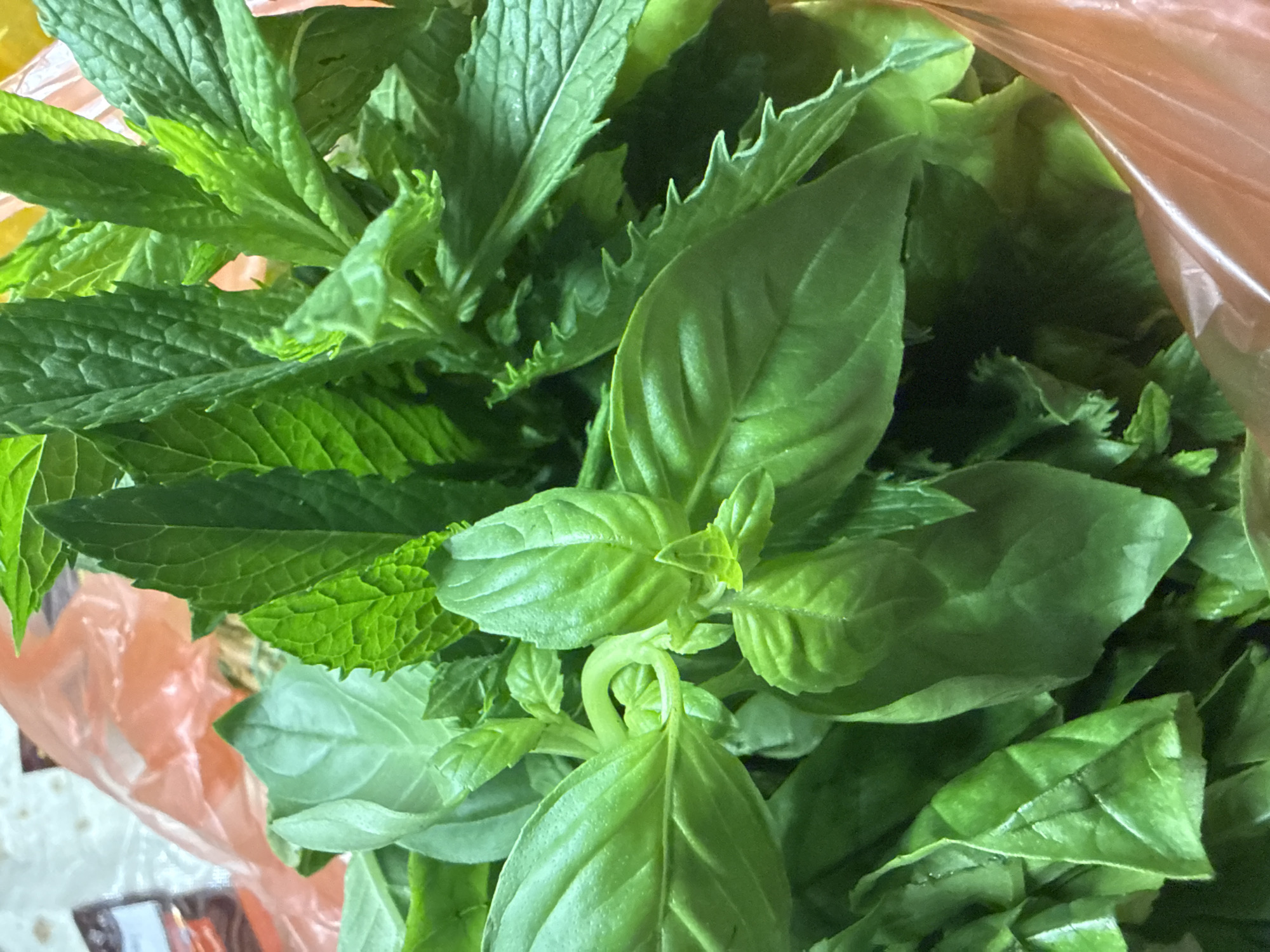 Fresh herbs, produce, and white peonies at home