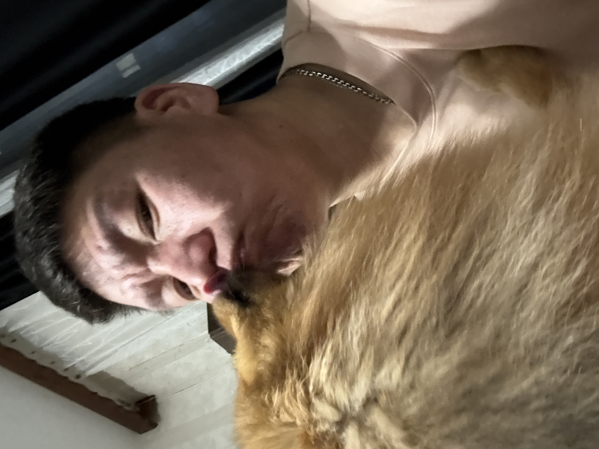 Evening in Khimki: a dog, a flight, and the city at dusk