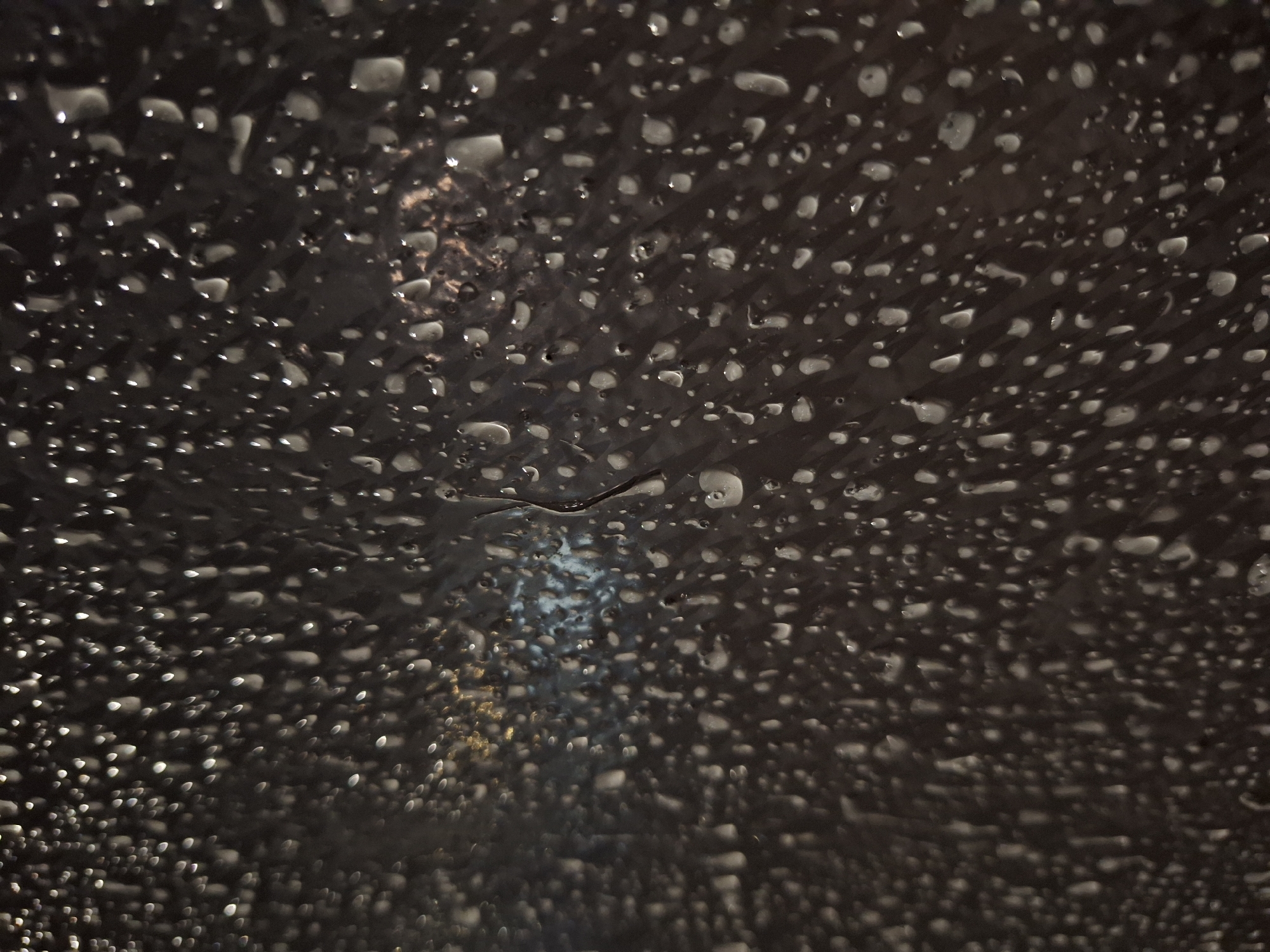 Nighttime observations capture water droplets, trees, illuminated signage