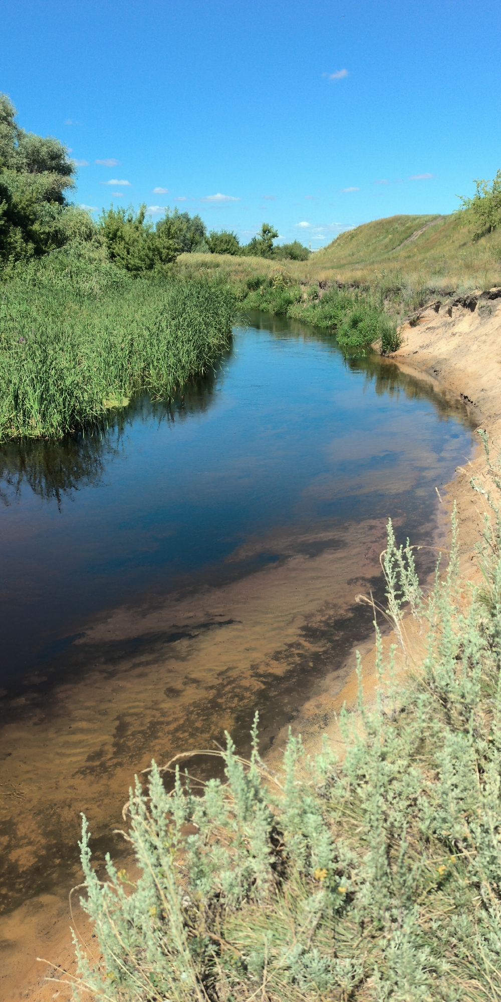 Quiet river scene captured from ground and aerial angles