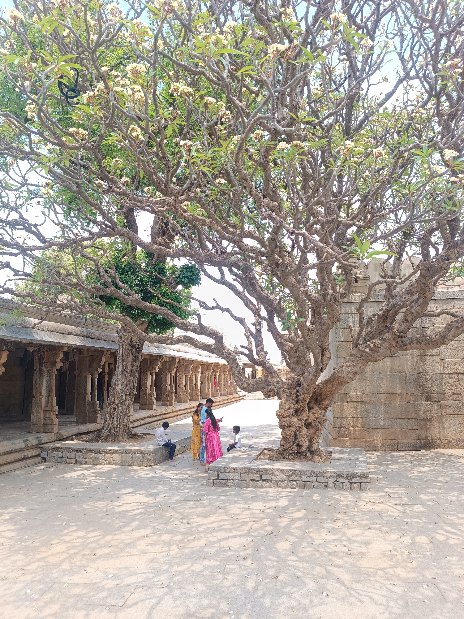 Visitor explores ornate Hindu temple with stone carvings