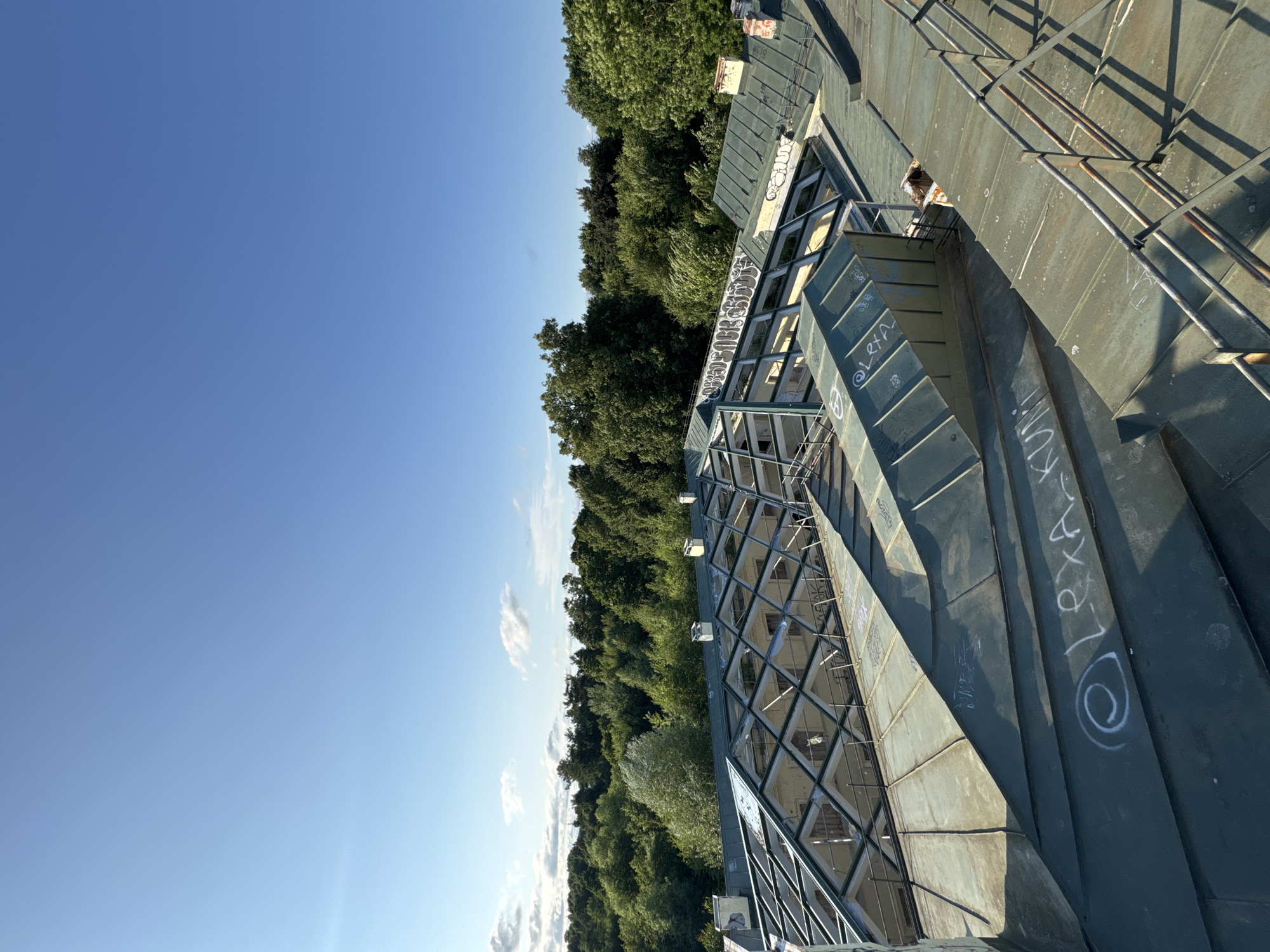 Rooftop views over Peterhof's classical architecture and green canopy