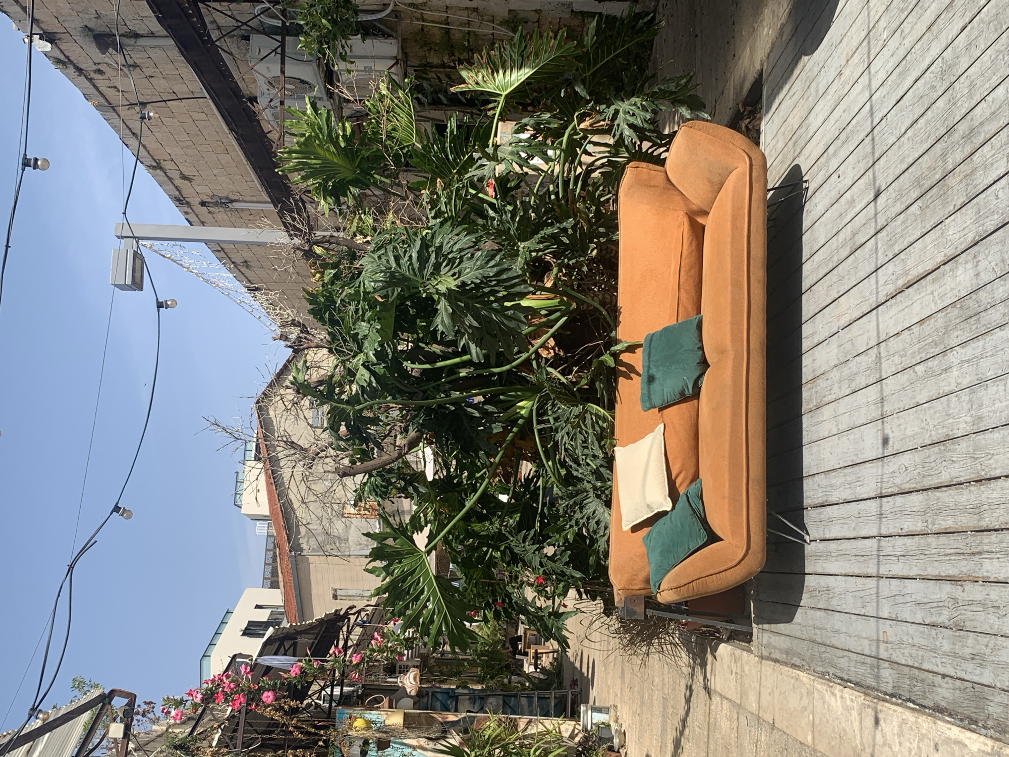 Couch spotted on wooden deck in Tel Aviv