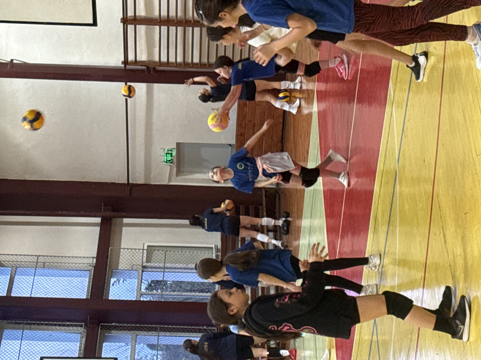Youth volleyball practice observed at Sofia gymnasium