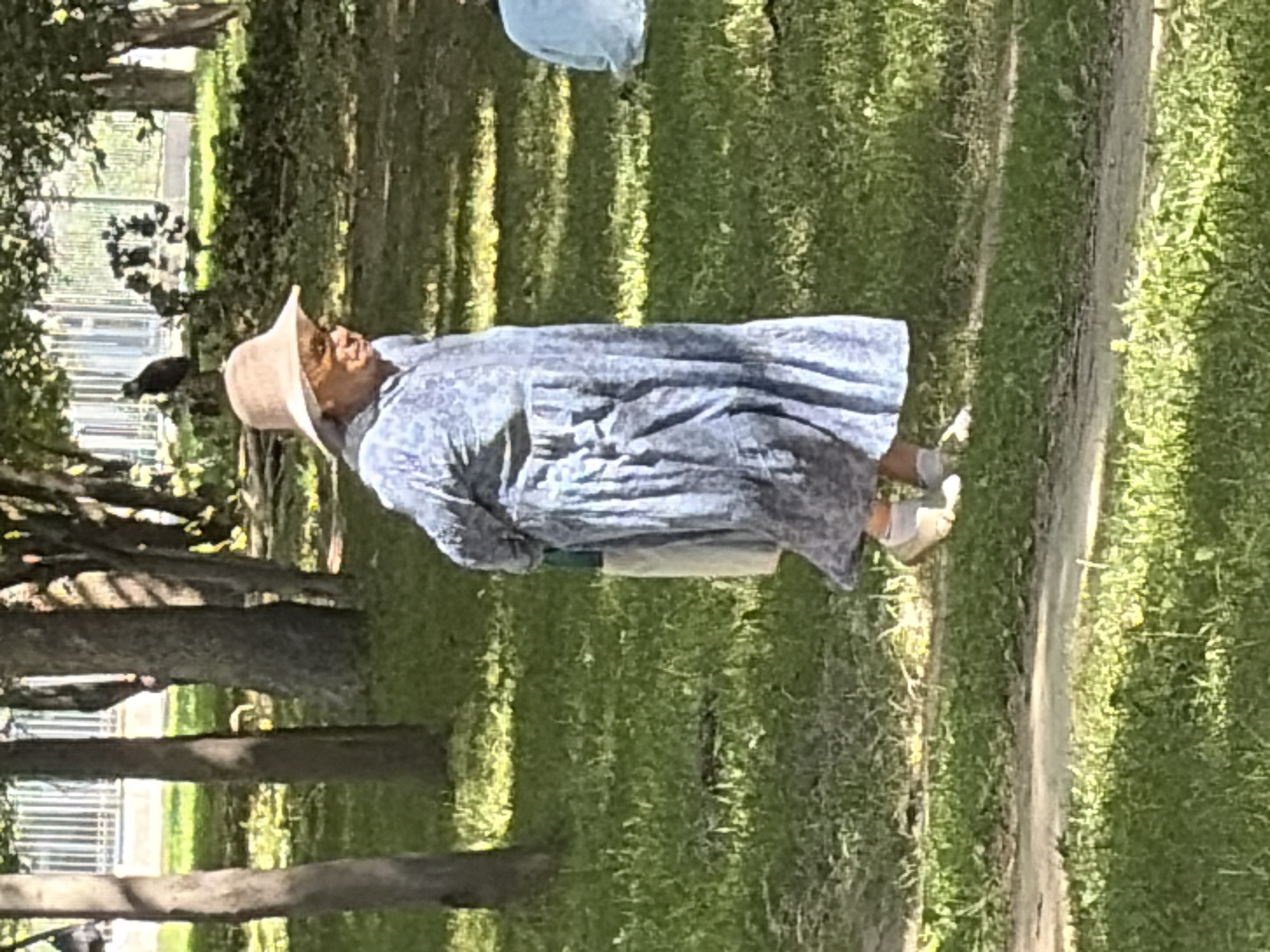 Park activities and martial arts practice under honey locust trees