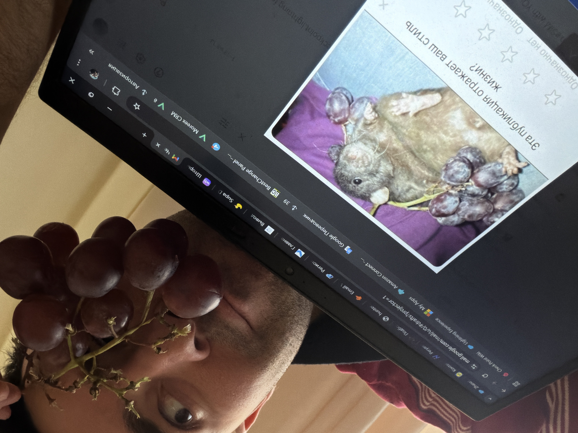Man playfully balances grapes on forehead while using laptop
