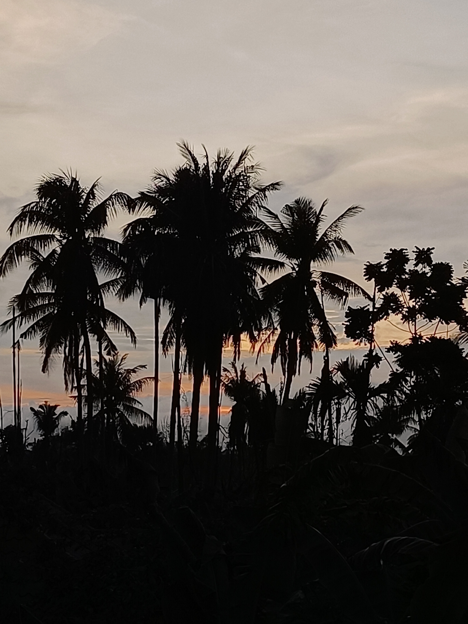 Palm tree silhouettes frame a tropical sunset in Blang Cut