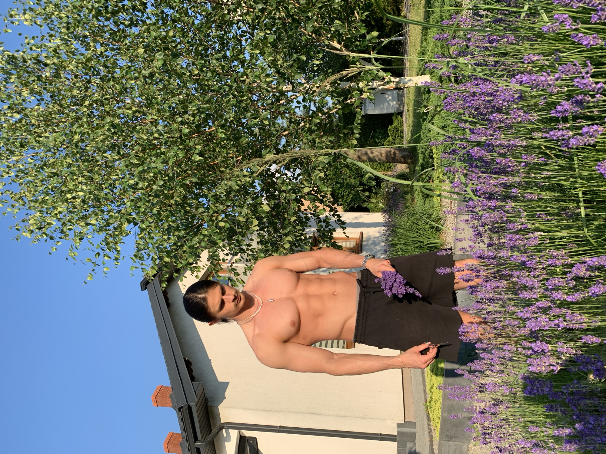 Lavender harvest meets Kérastase product shoot in a garden setting