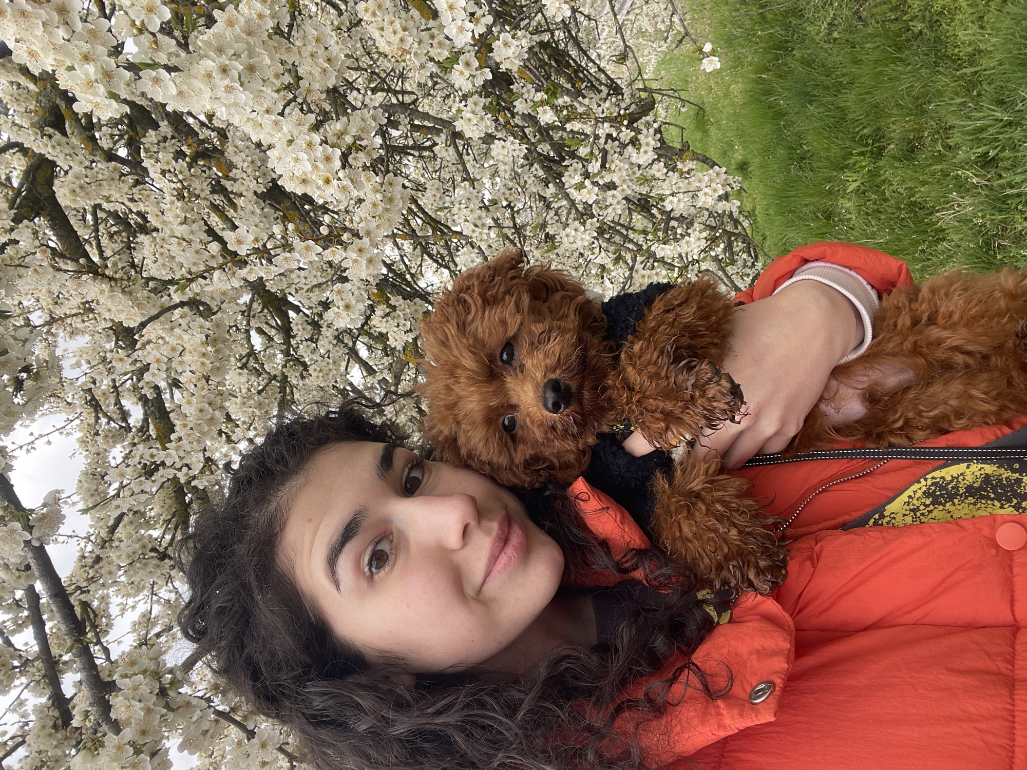 Woman walks poodle puppy through Bulgarian village morning routine