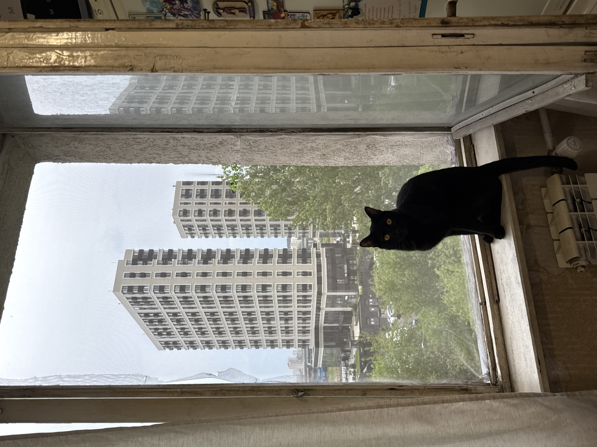 Khimki resident shares quiet afternoon moments with Pomeranian dog