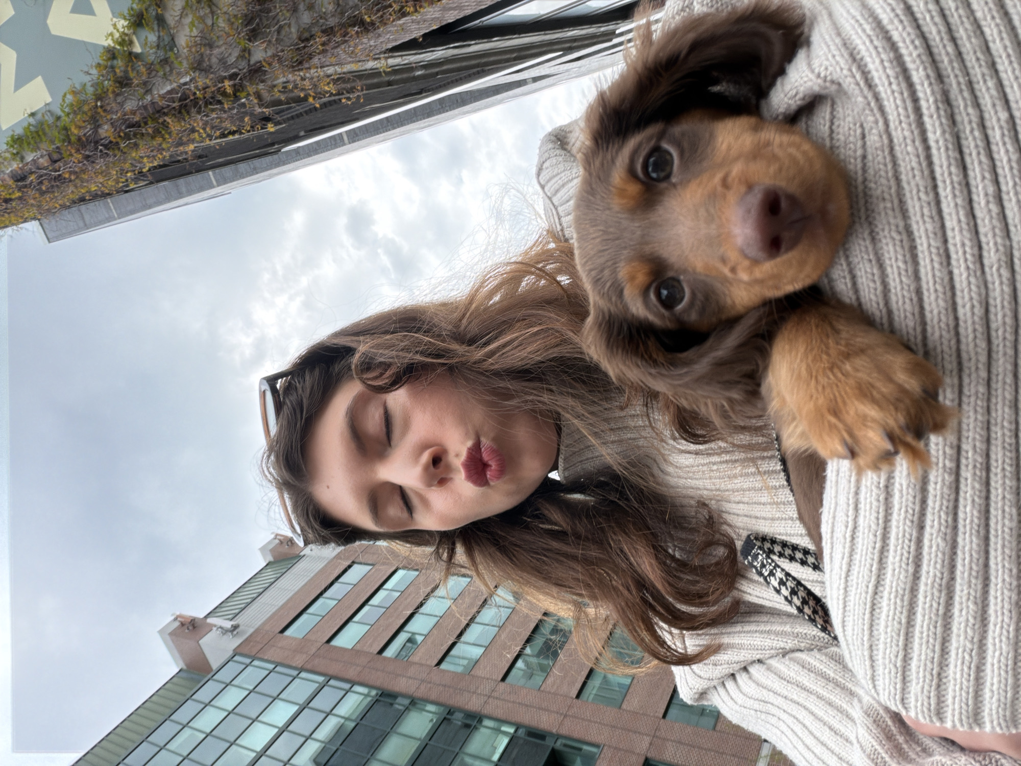 Montreal moments: puppy kisses and portable toilet delivery