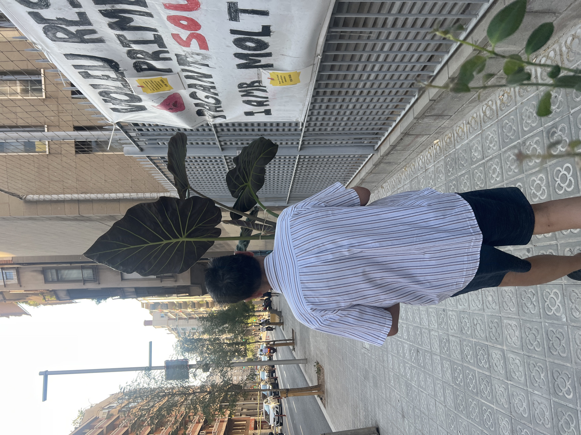 Barcelona afternoon: Pilates studio visit and plants brought home