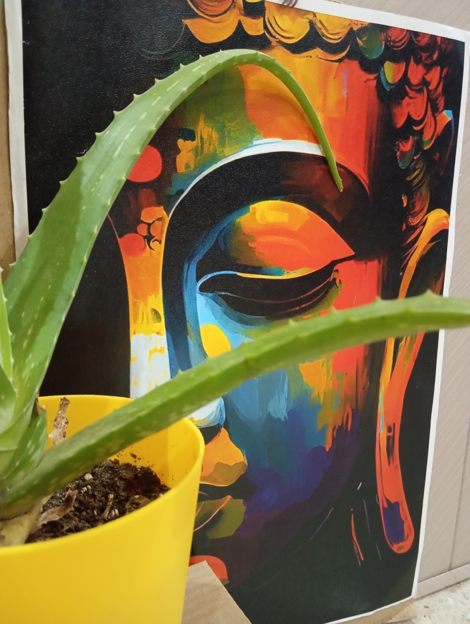 Aloe plant photographed near Buddha painting indoors