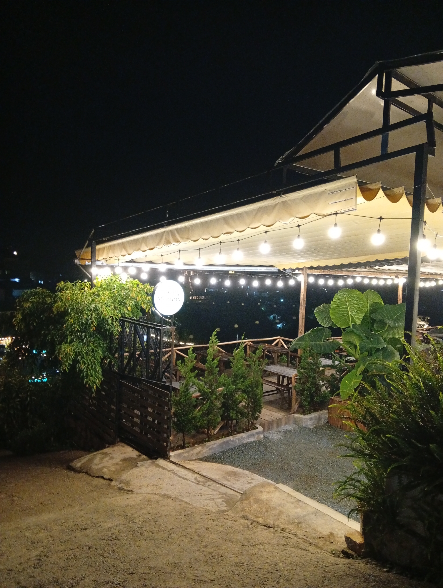 Nighttime stroll through illuminated Da Lat streets and gardens documented