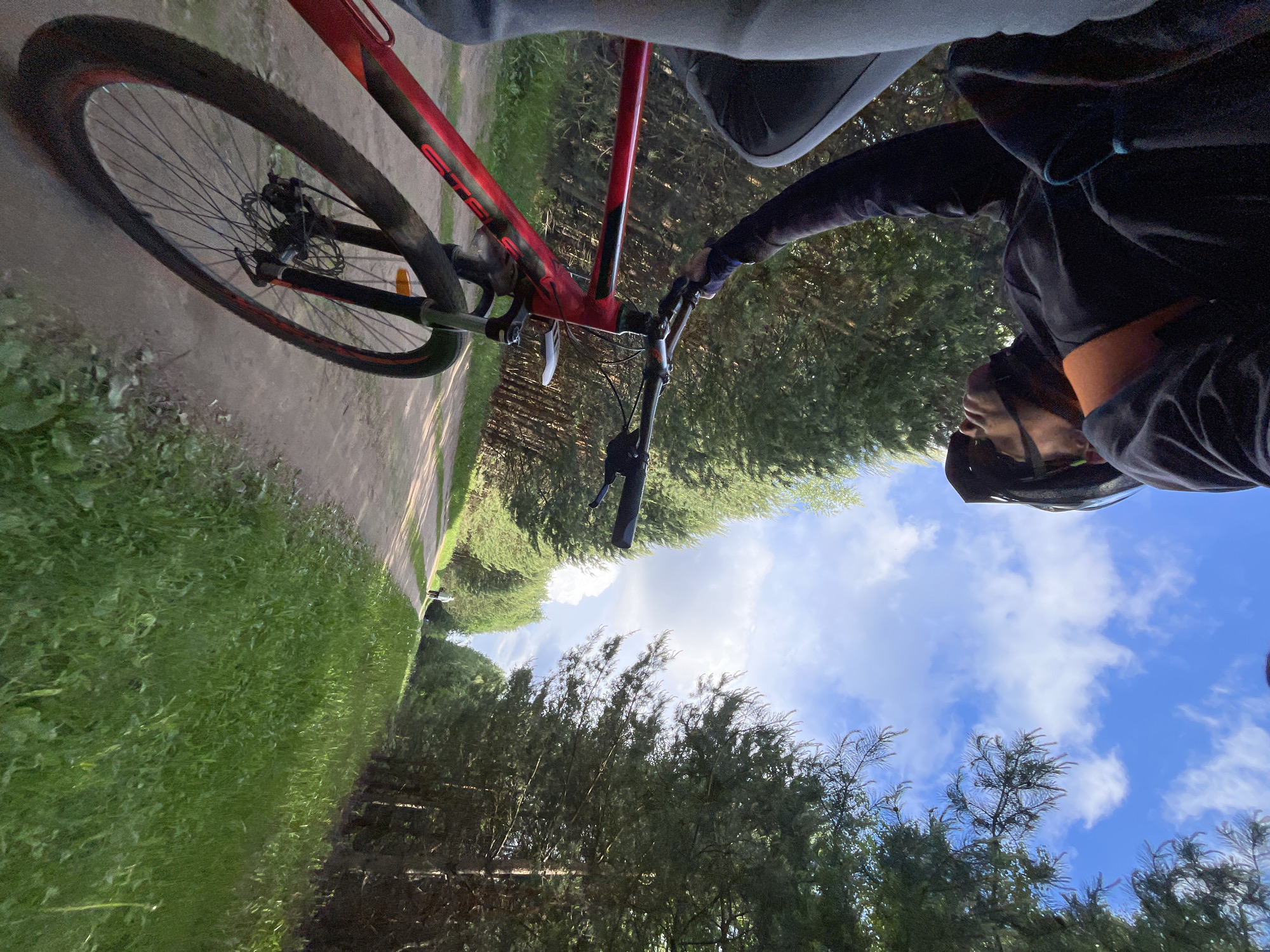 Cyclist rides through pine forest near Chaikovsky, Russia