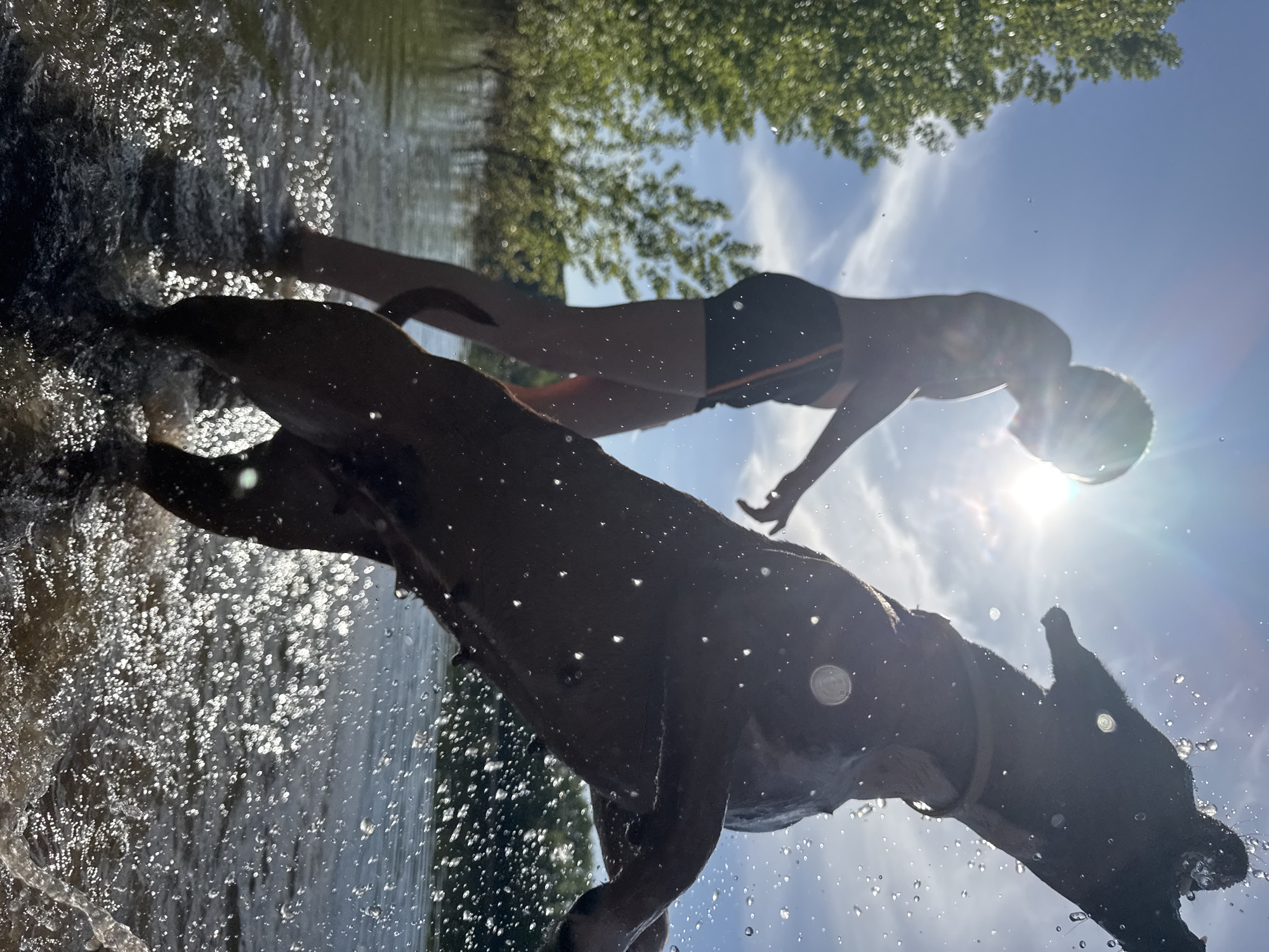 Woman documents lakeside outing with boxer dog in Chaikovsky
