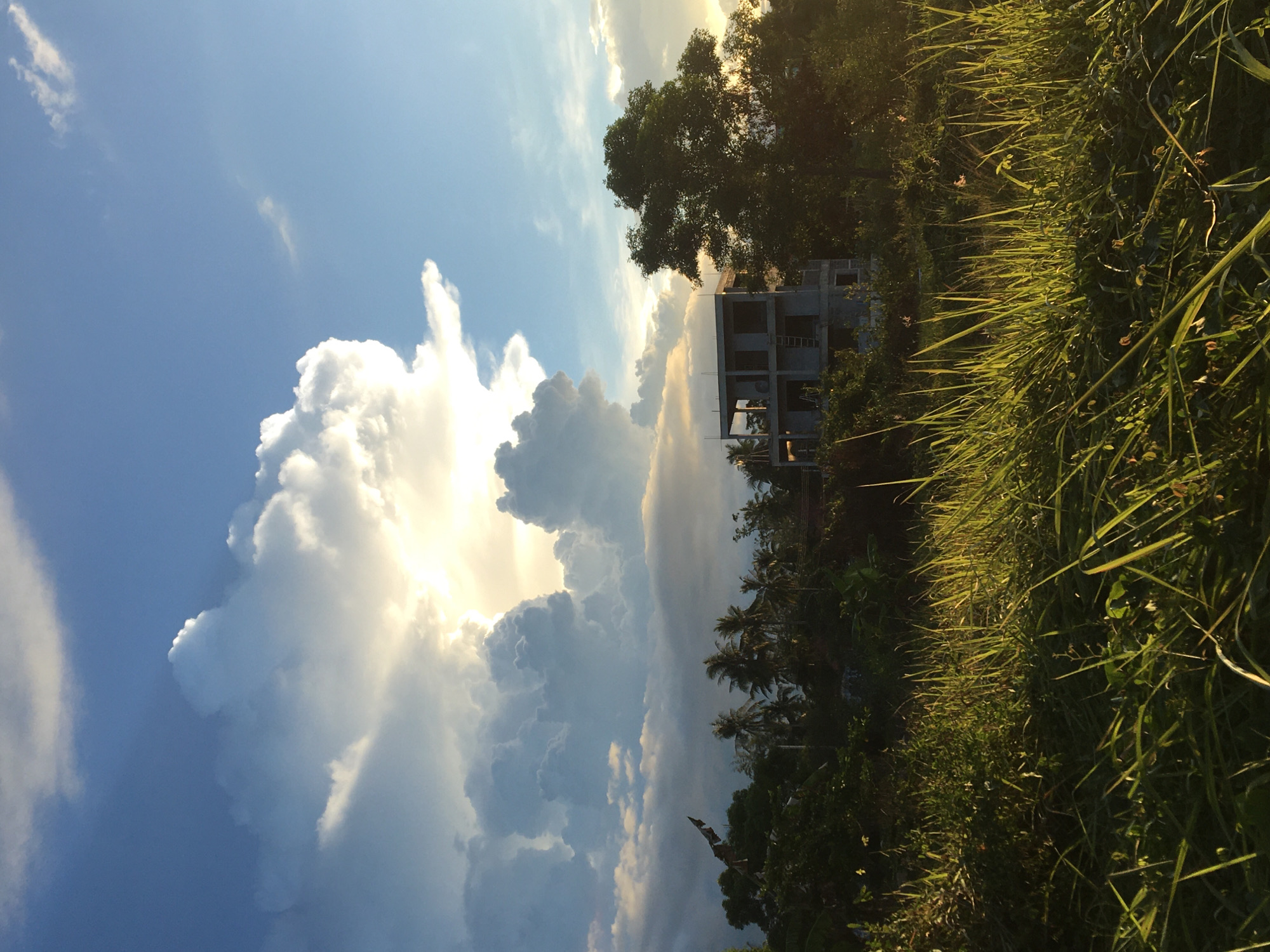Sunset clouds and palm canopy in Ban Tai, Thailand