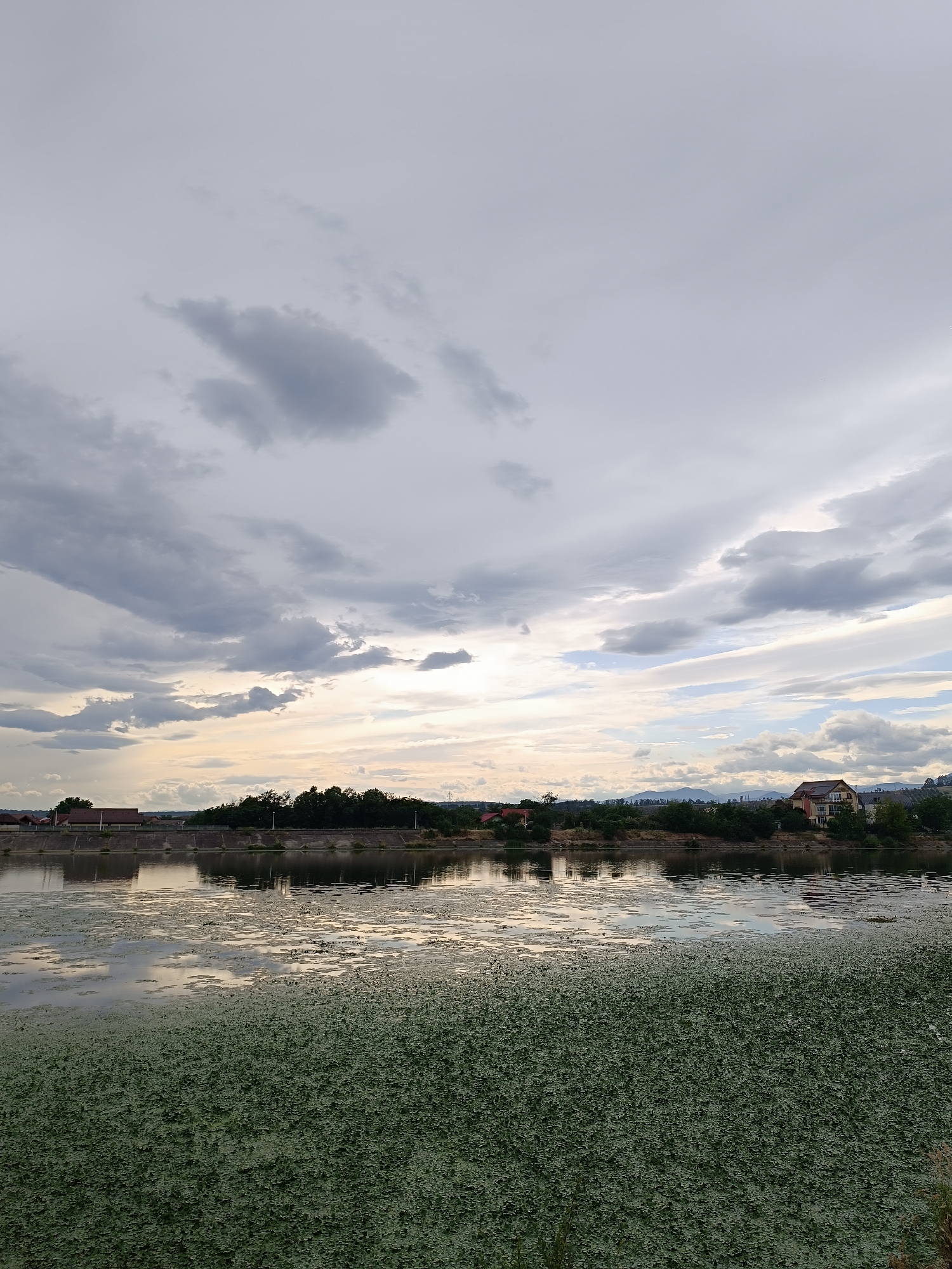 Afternoon scenes around Târgu Jiu — water, architecture, and a pug
