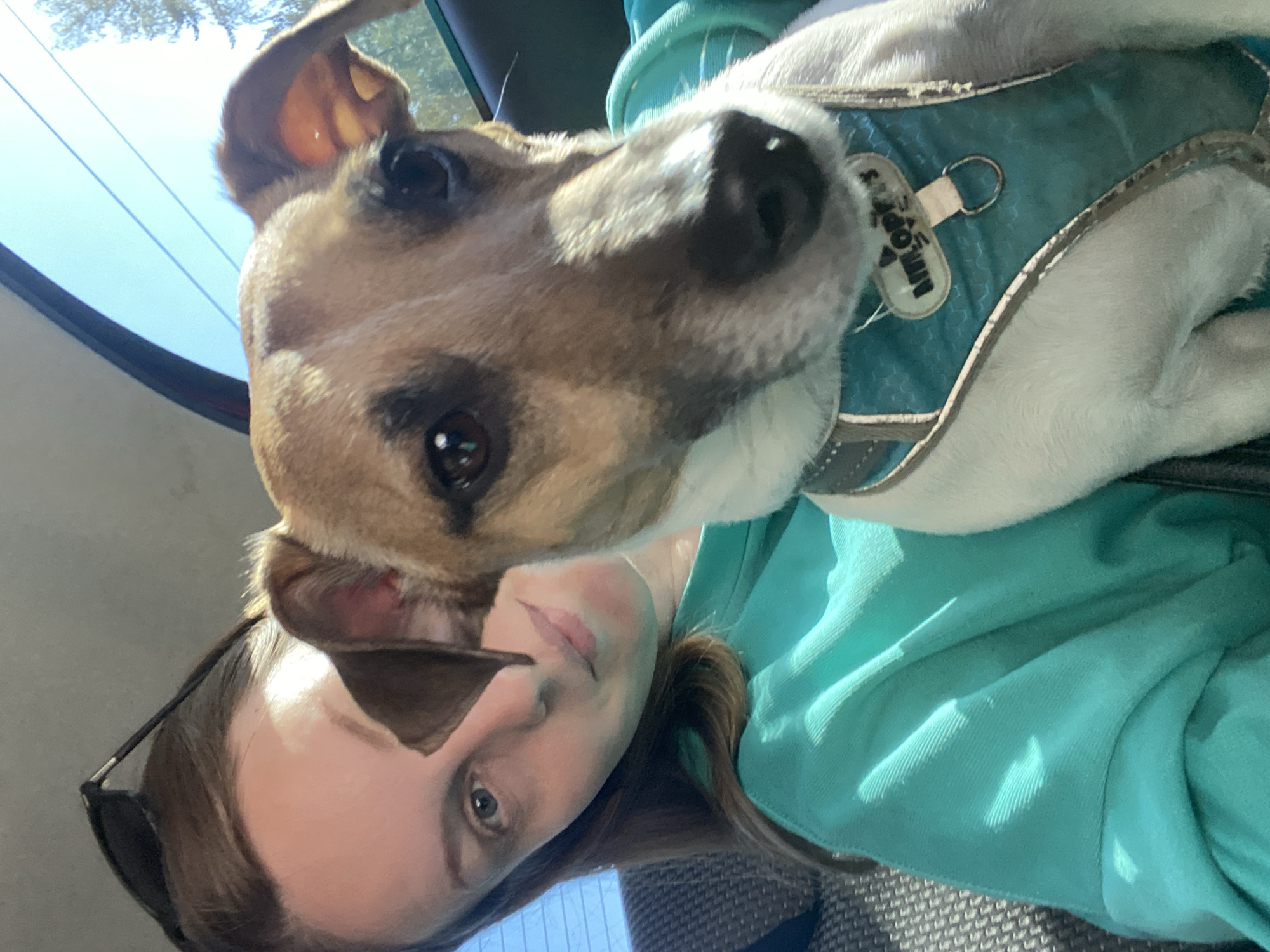 Woman with dog spotted in car in Noviy, Russia