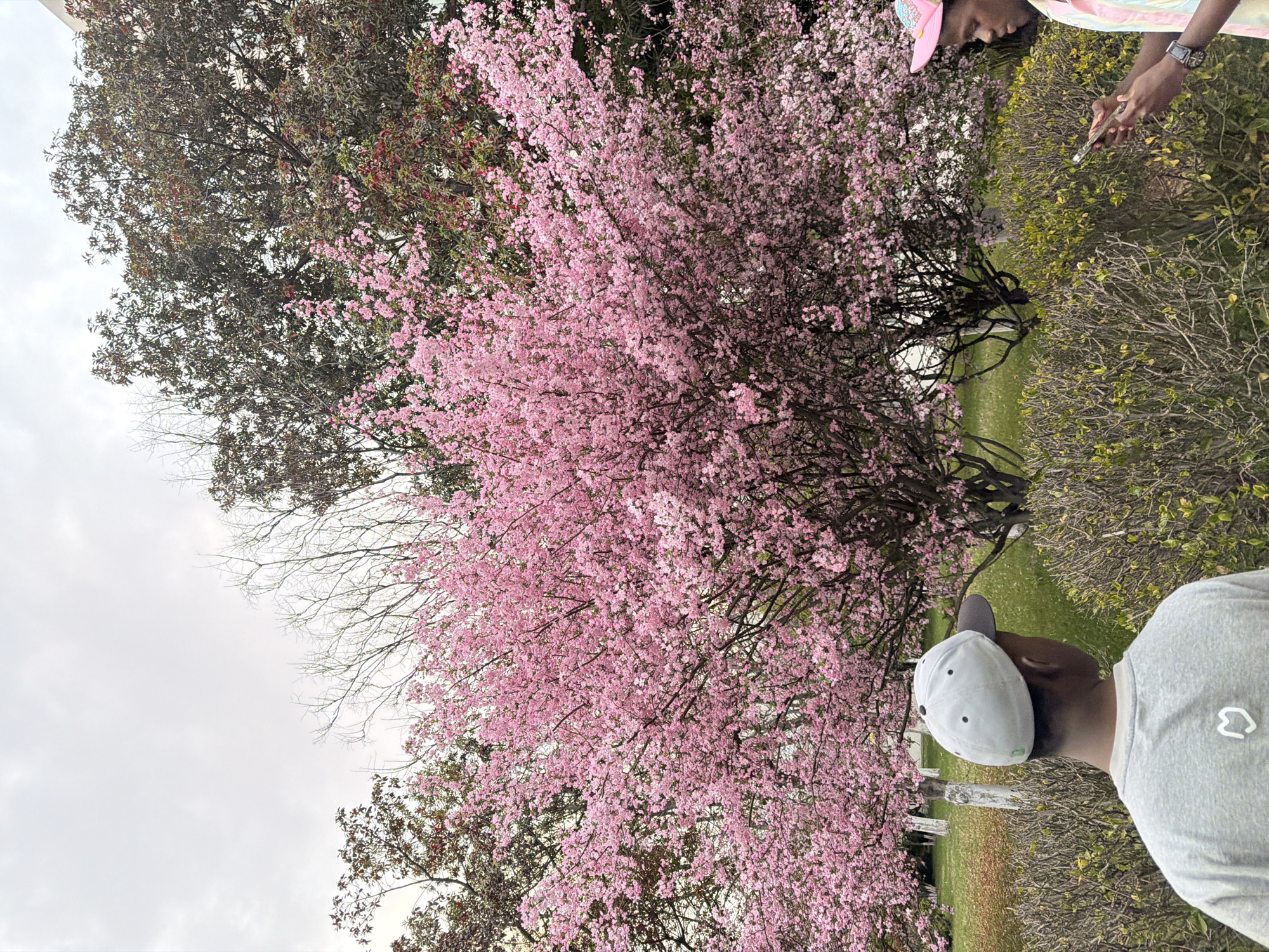 Spring scenes and evening commutes captured across Jiangning District