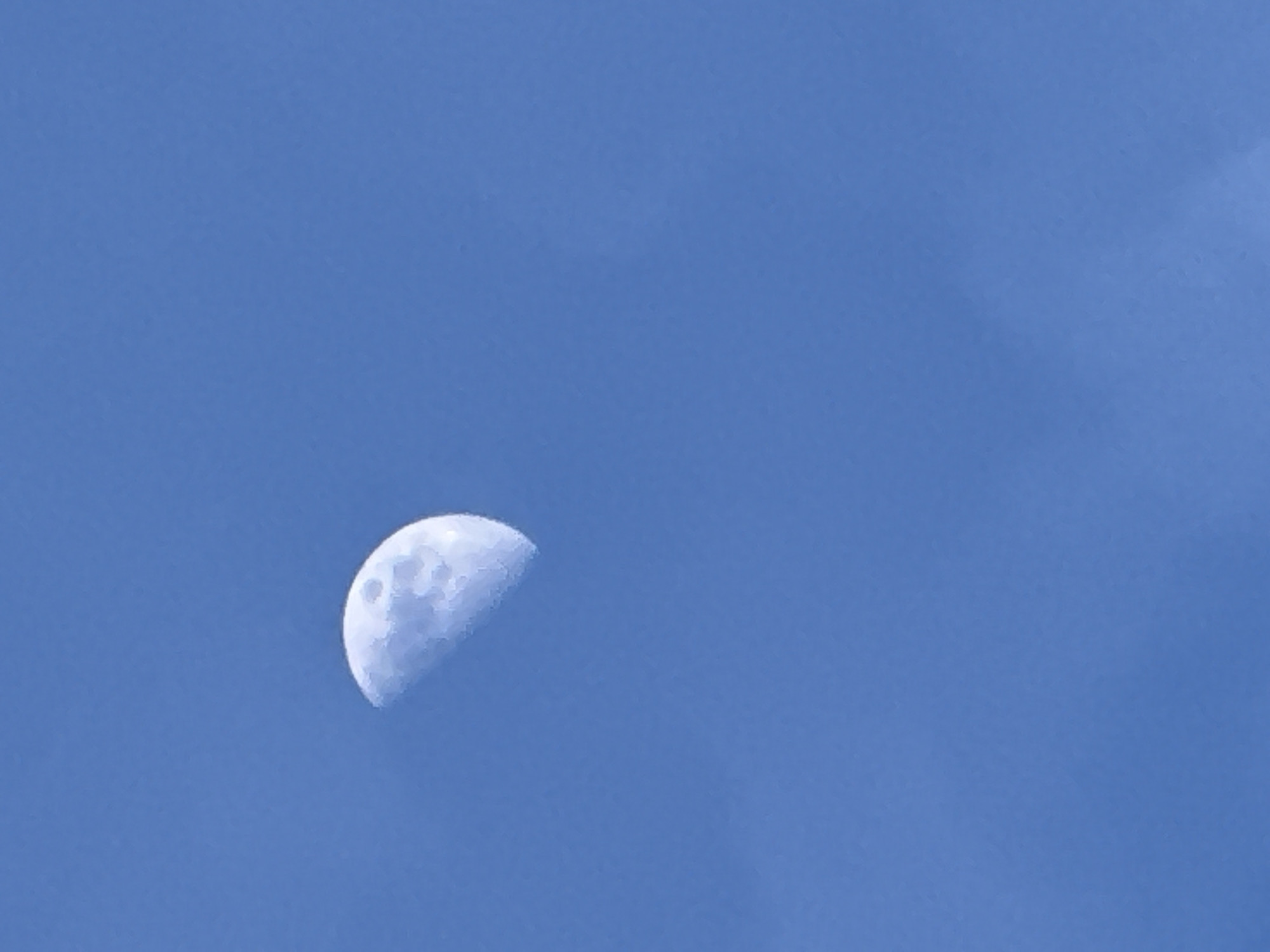 Afternoon moon and sleeping cat observed in Pavlikeni, Bulgaria