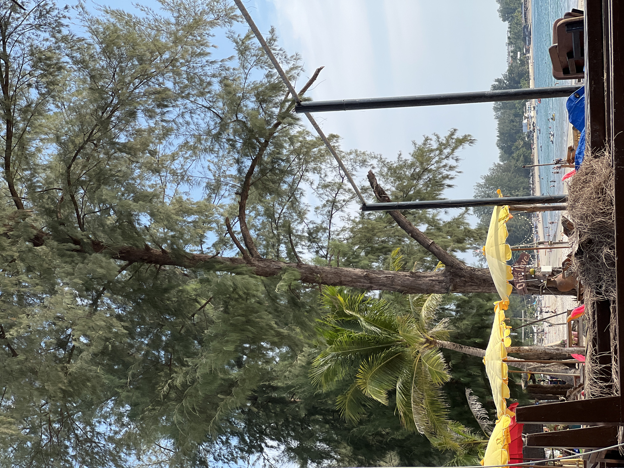Beachside scene with trees and metal pipes observed