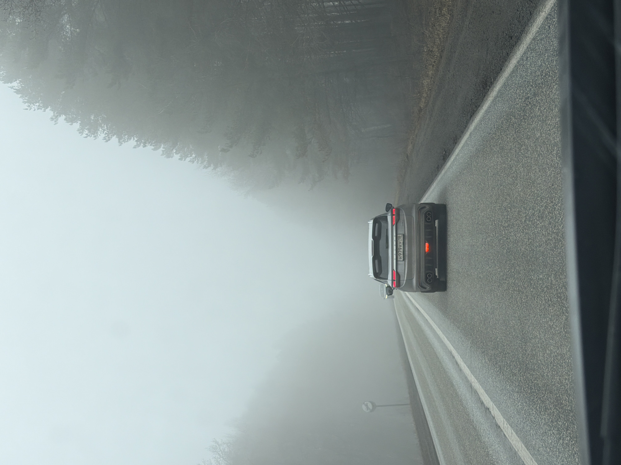 Gray car travels foggy road in Iiul'skoe, Russia