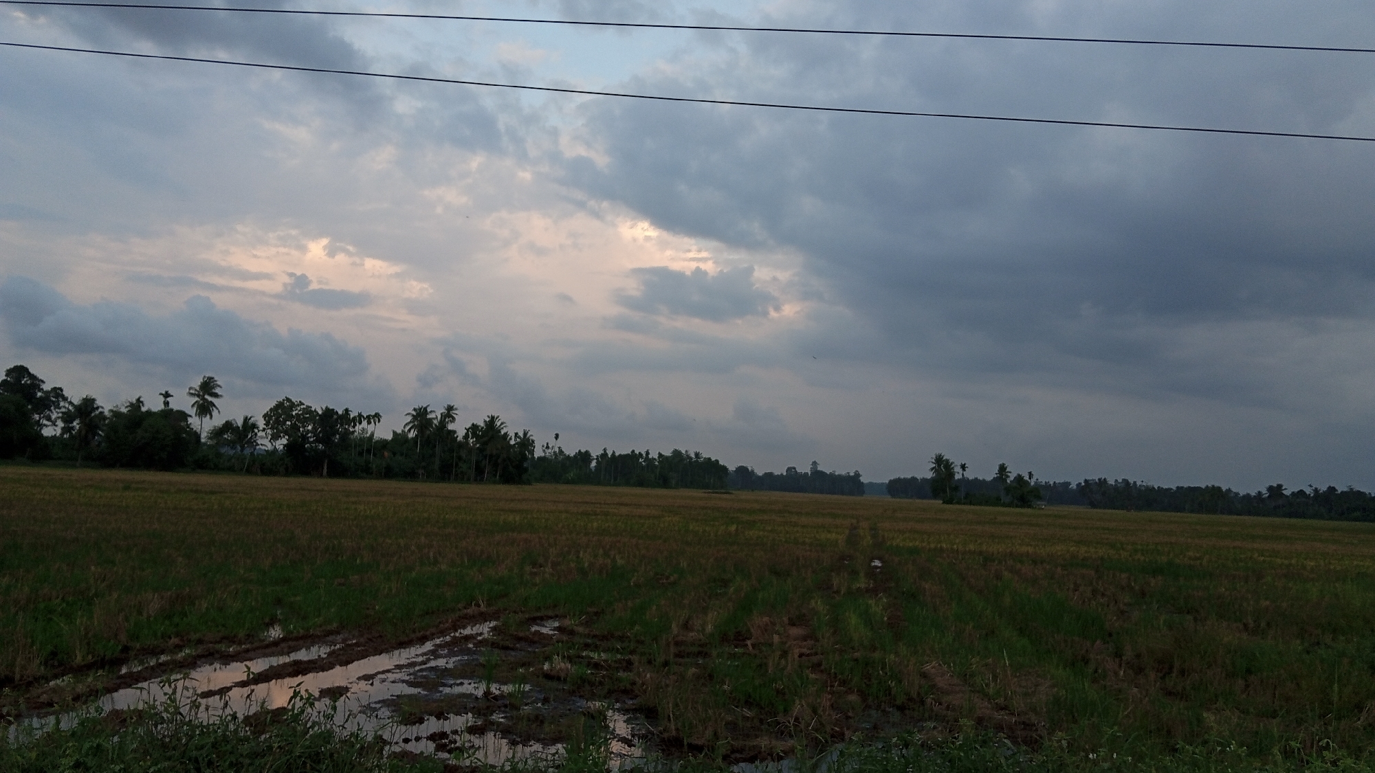 Rural Indonesia agricultural scenes documented across Aceh province