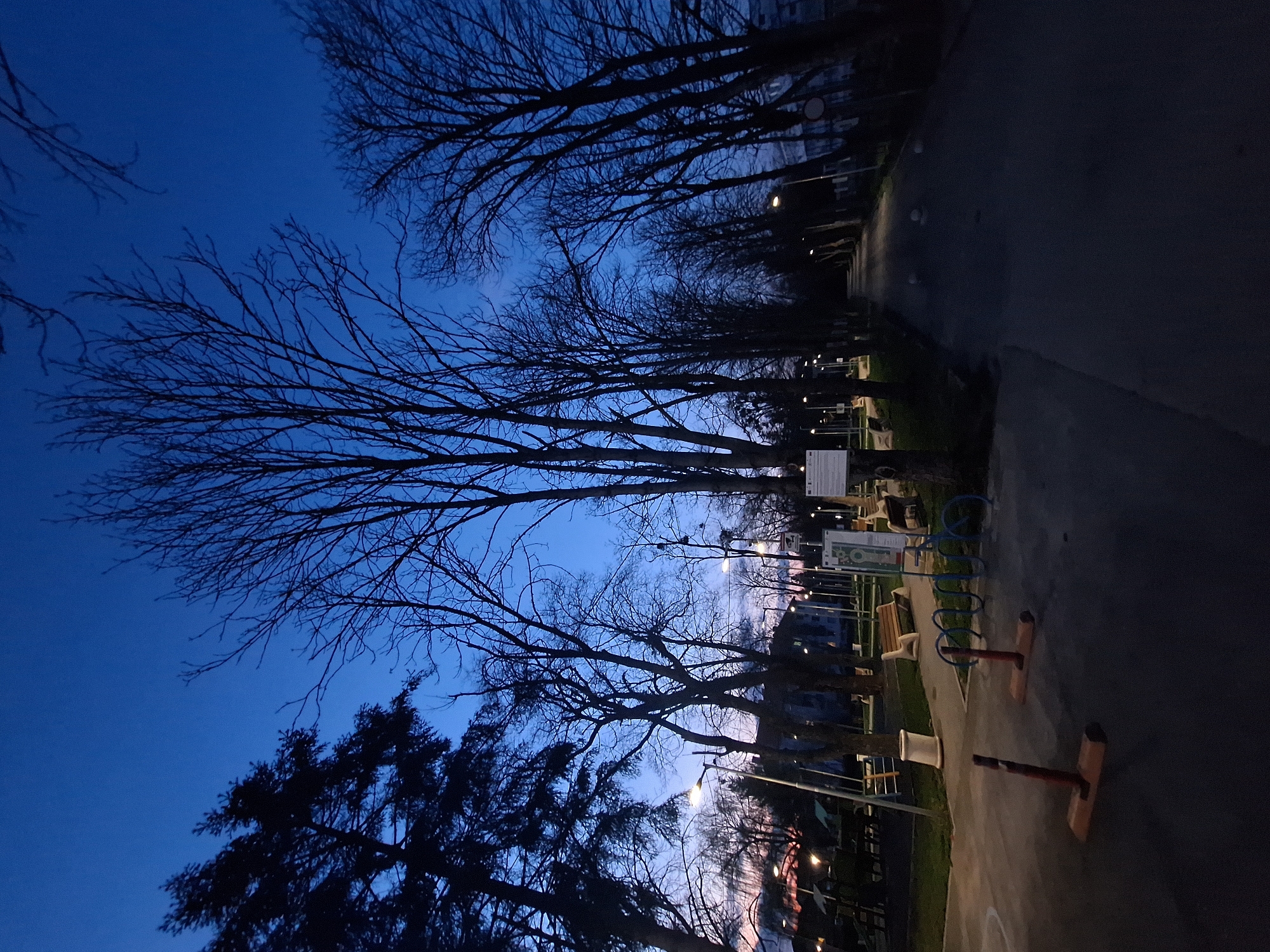 Evening park scene captured in Dolni Chiflik, Bulgaria