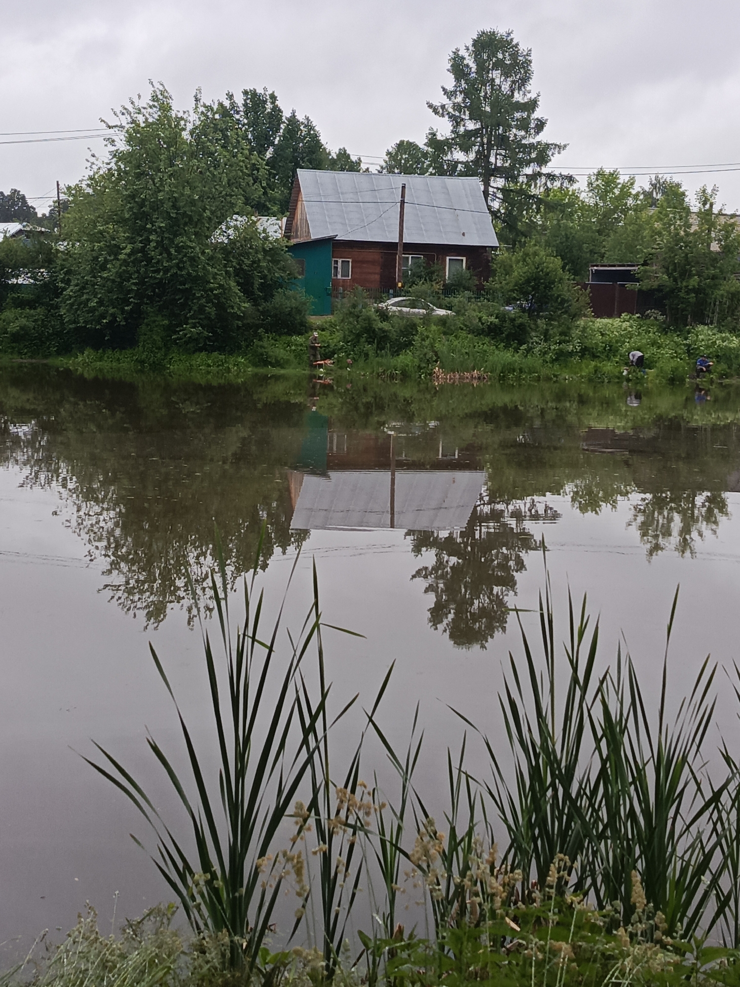 Morning after rain documented in Chaikovsky park with dog