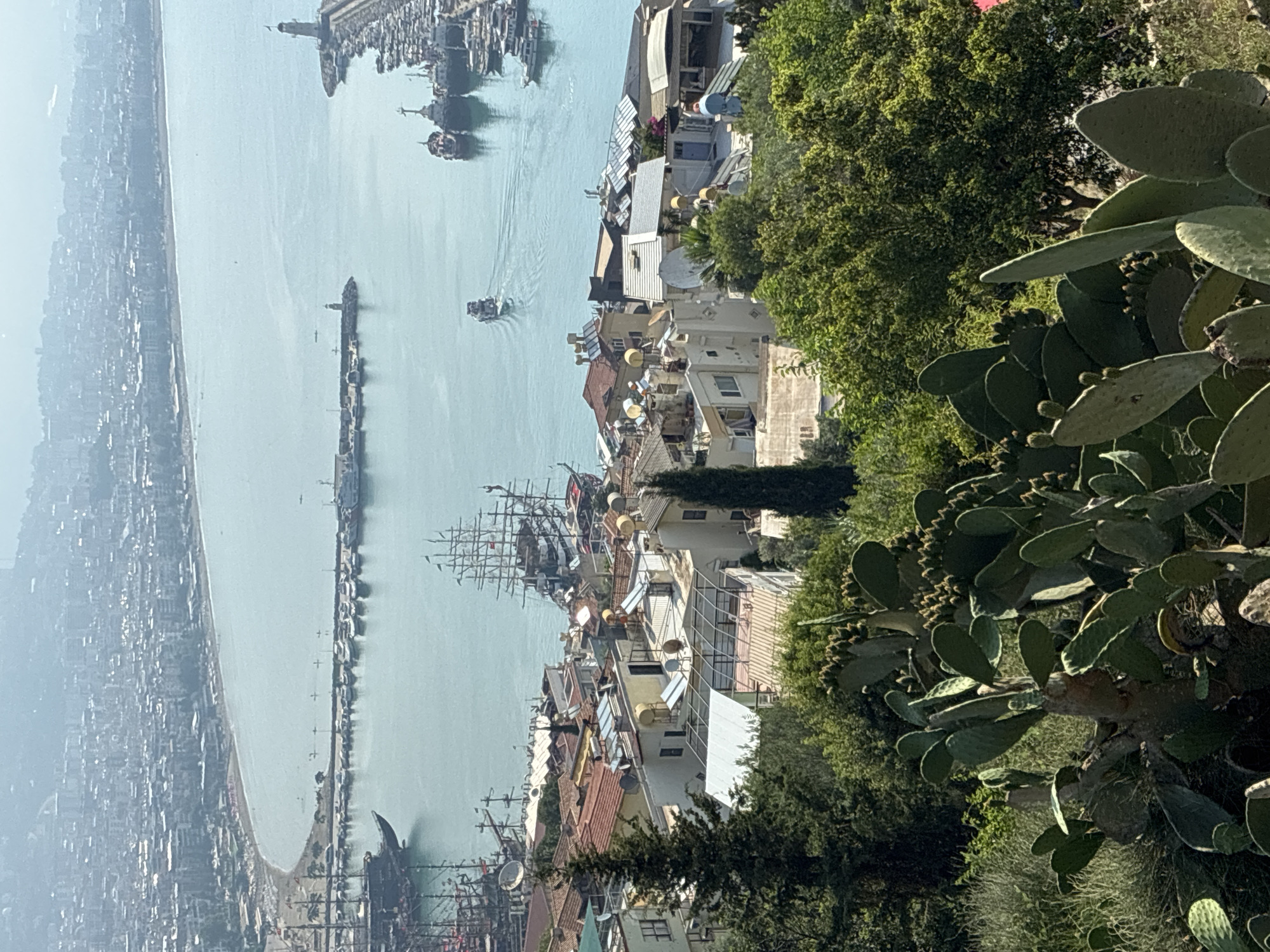 Morning scenes from Alanya: cats, flowers, and coastal views