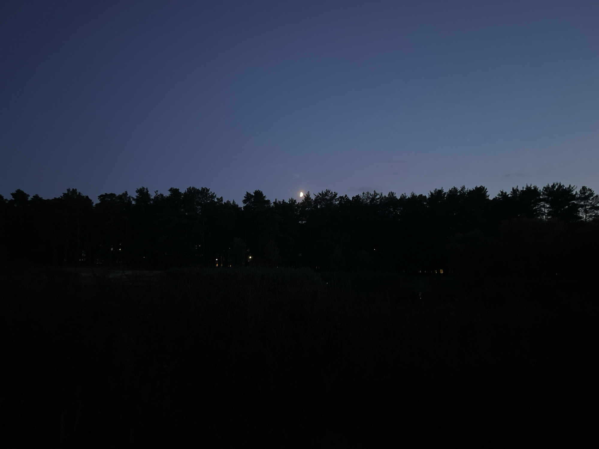 Crescent moon rises over a still forest at dusk