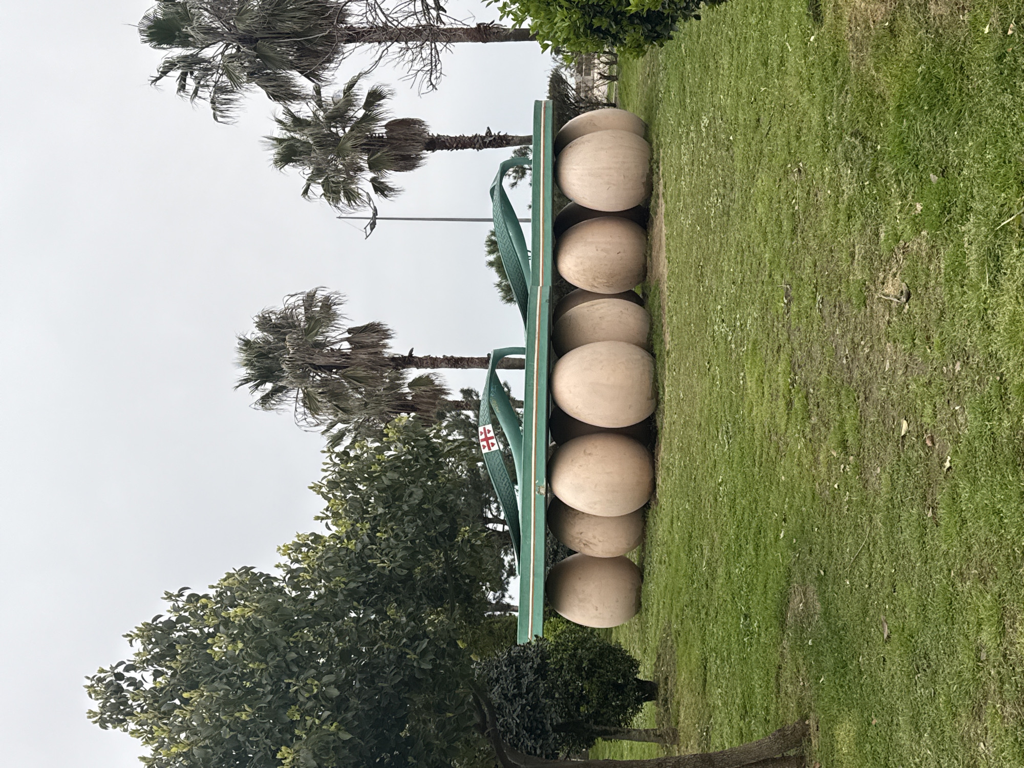 Tourist activities and public art documented in Batumi
