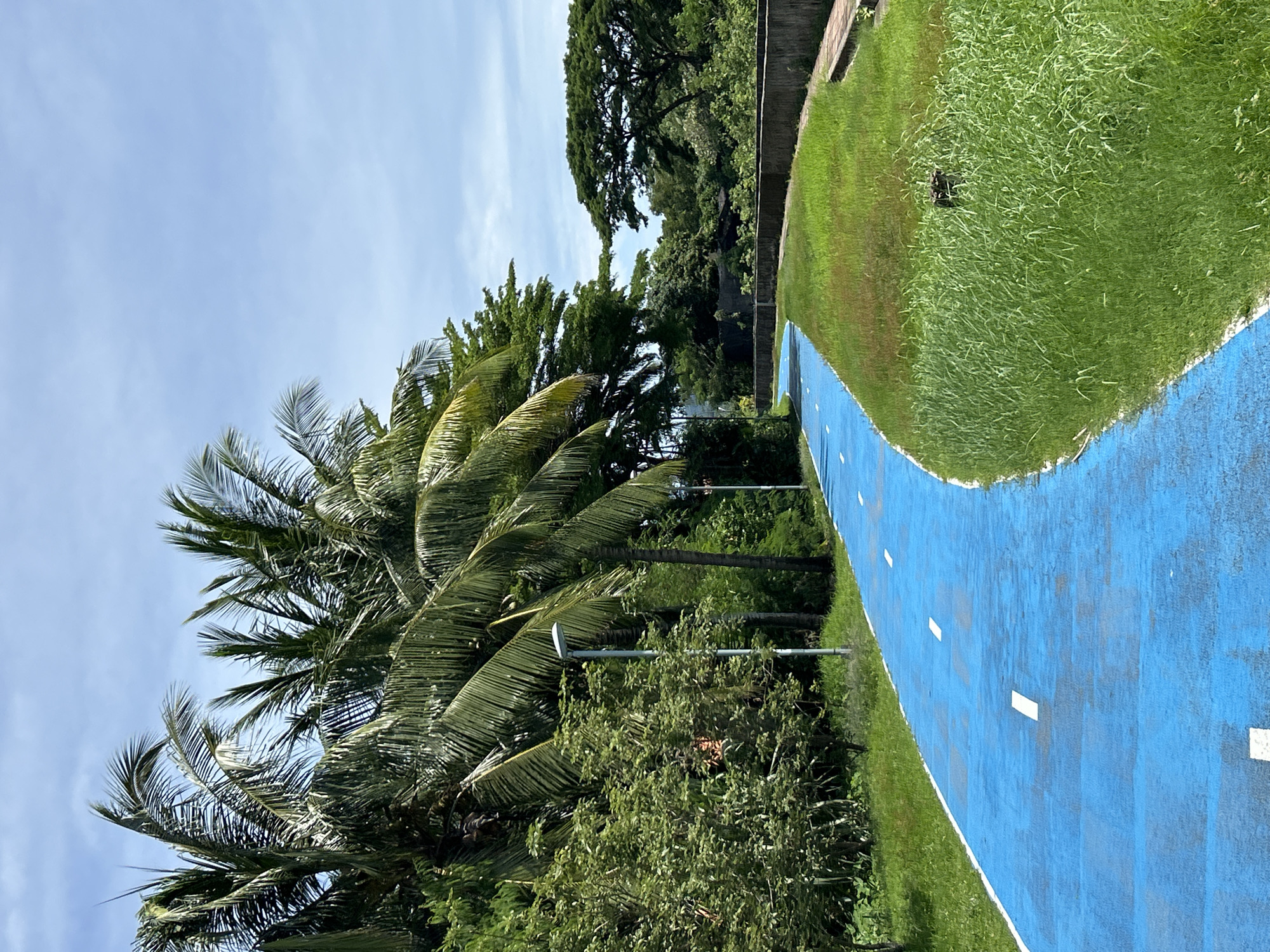 Morning walk documented through Phuket municipal park with dinosaur statues