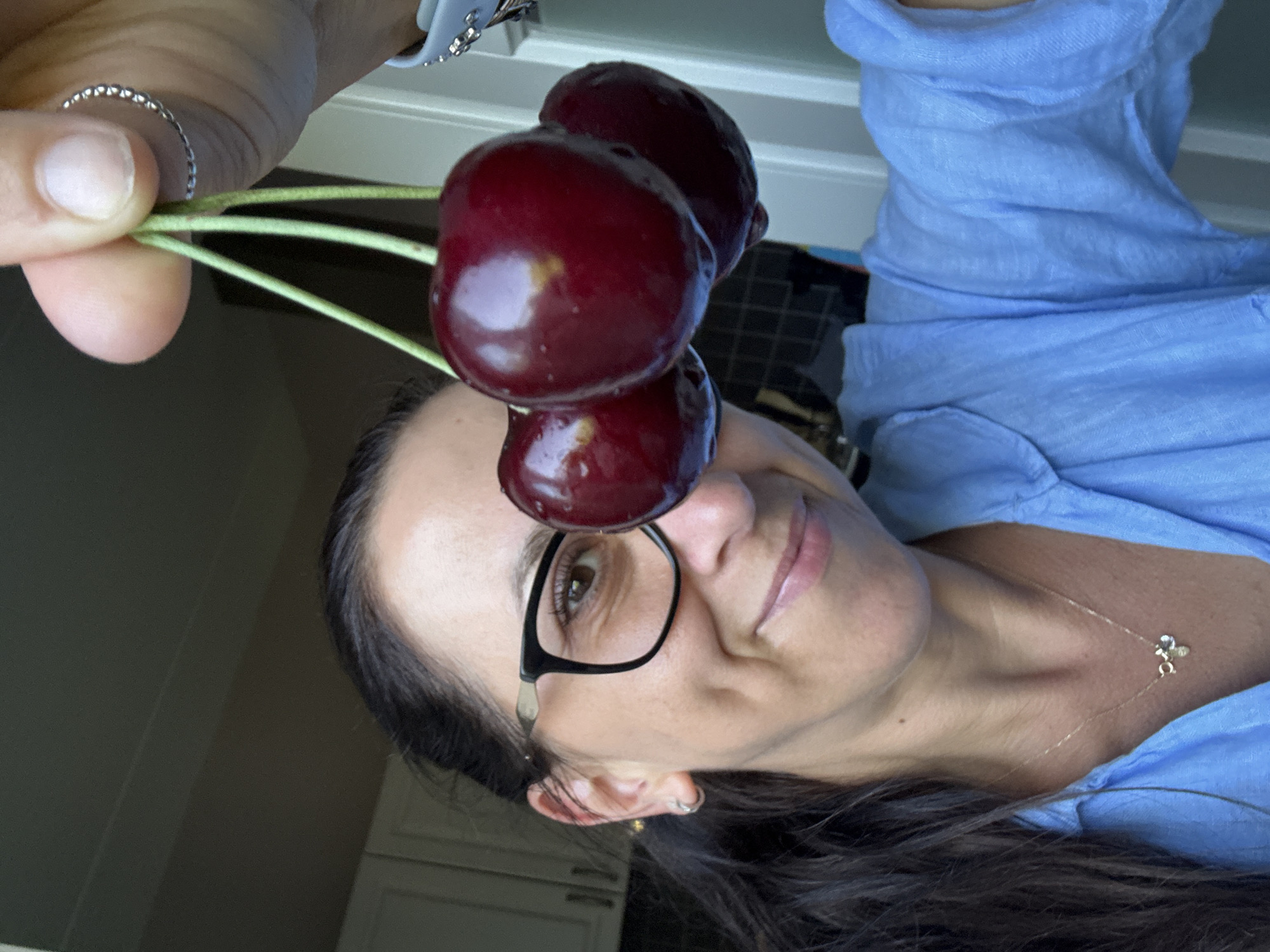Holding fresh dark red cherries in Marum, Netherlands