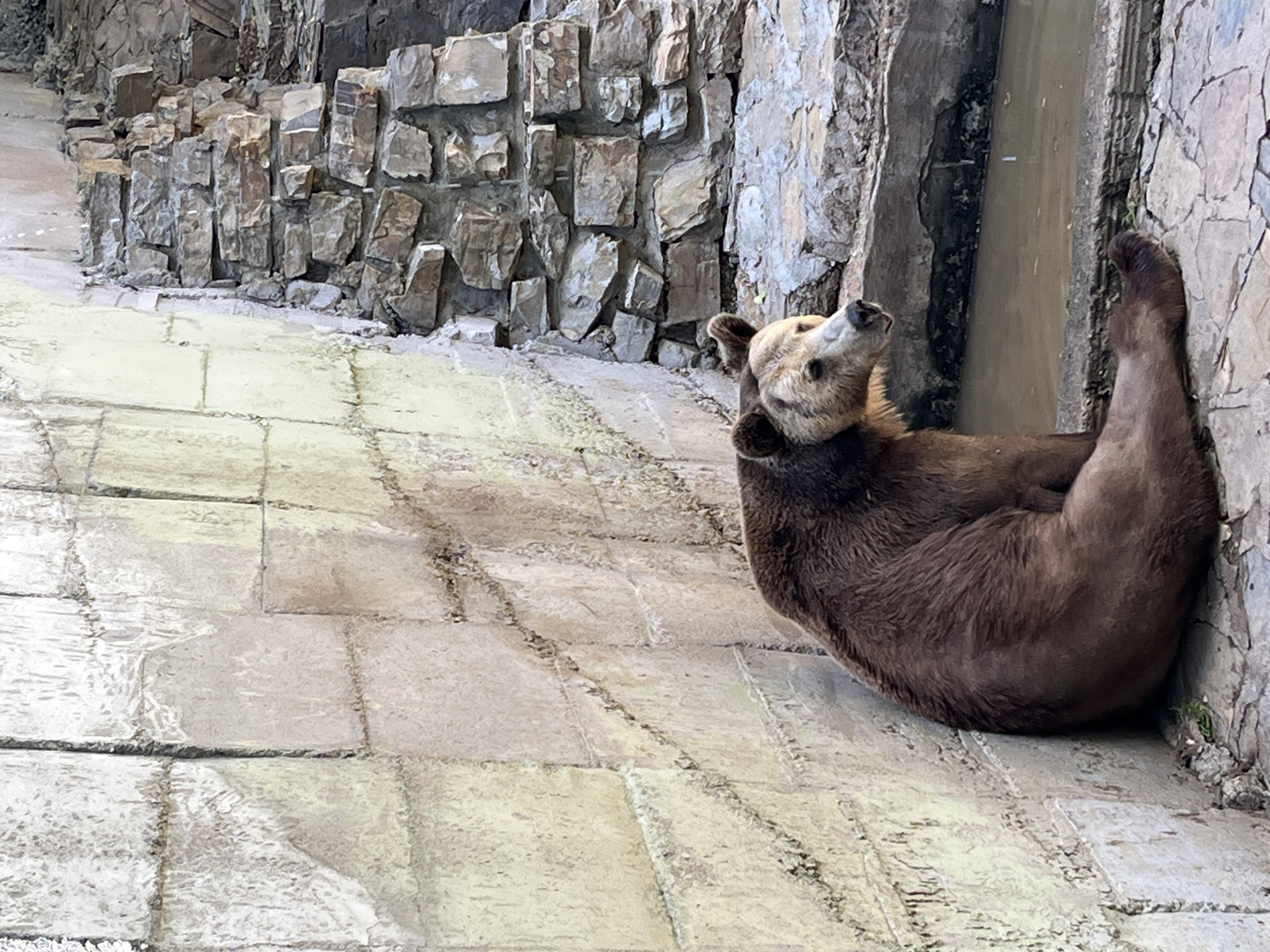 Zoo visit in Stara Zagora captures diverse animals