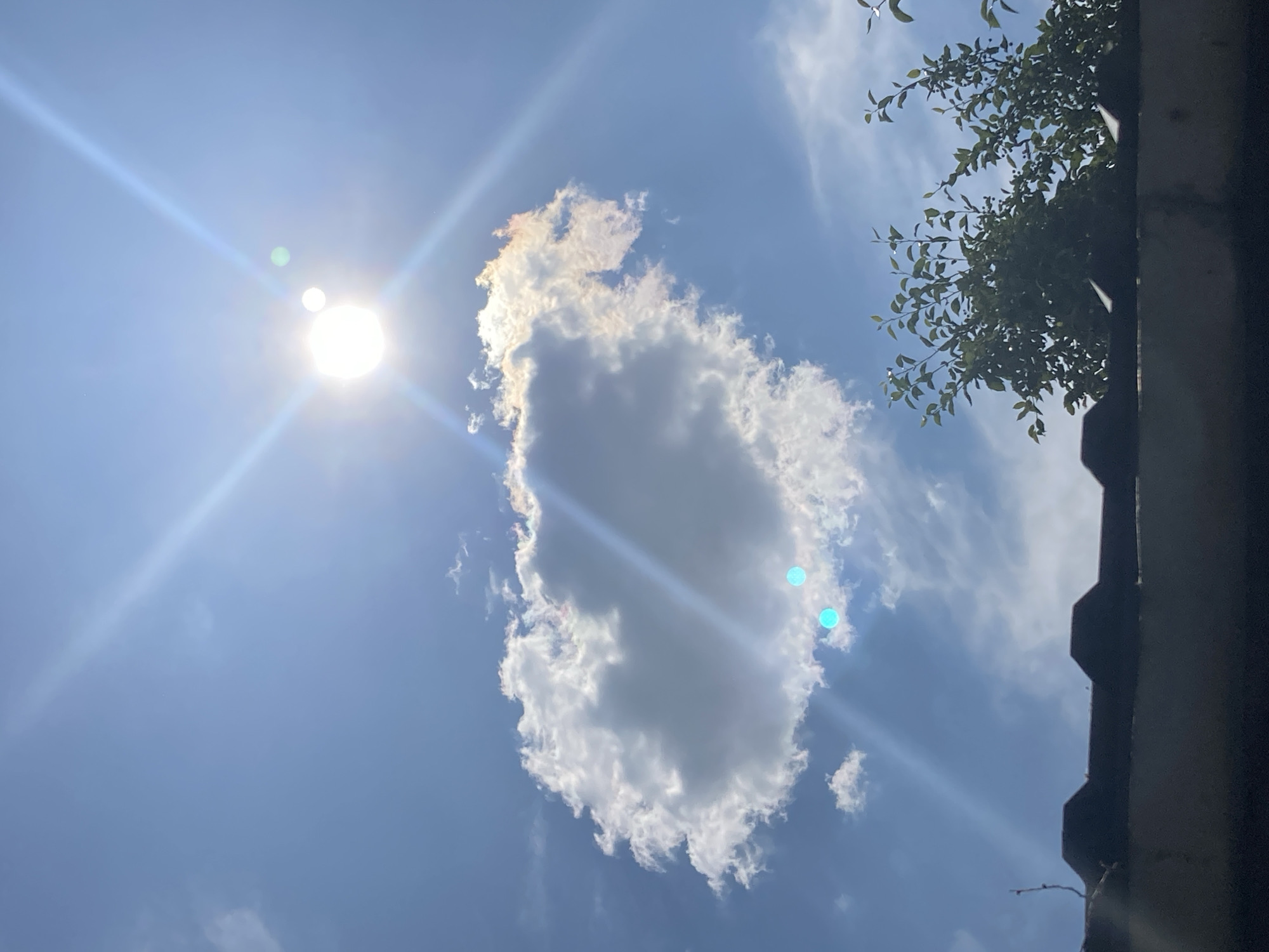Backyard basketball, a cat in daisies, and summer skies in rural Russia