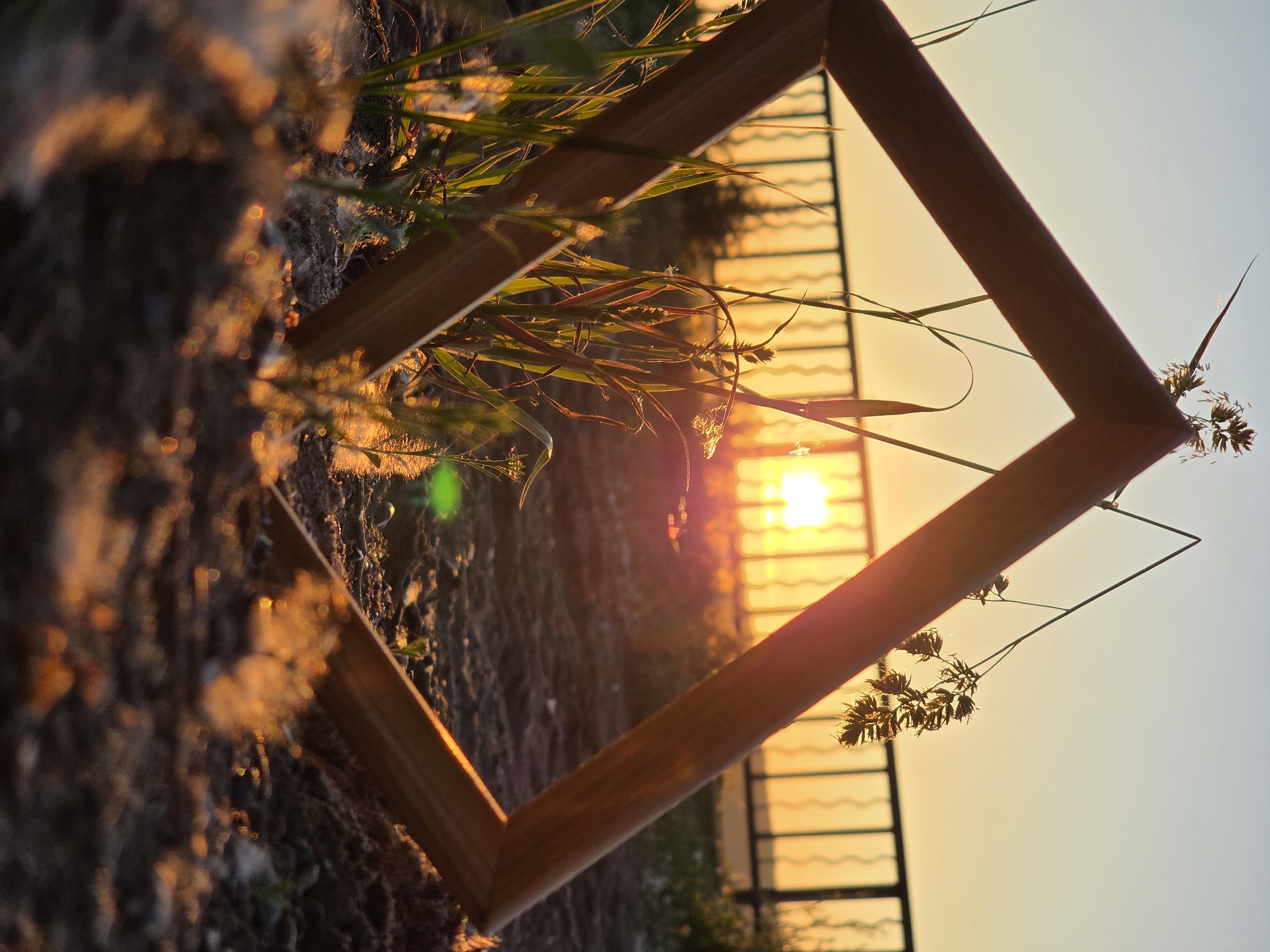 Artistic sunset photography session documented along Kama River, Chaikovsky