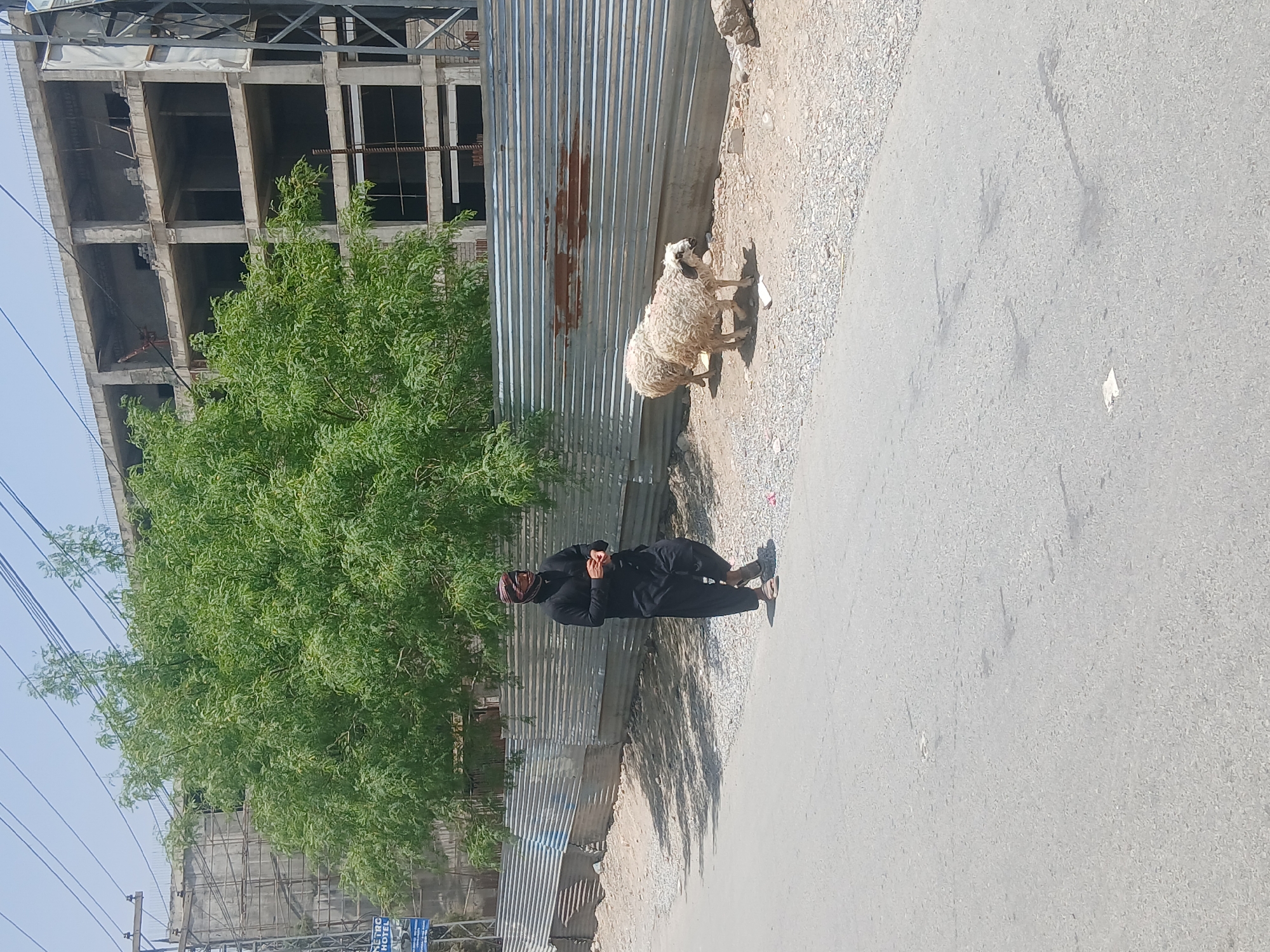 Person with sheep observed on Quetta street