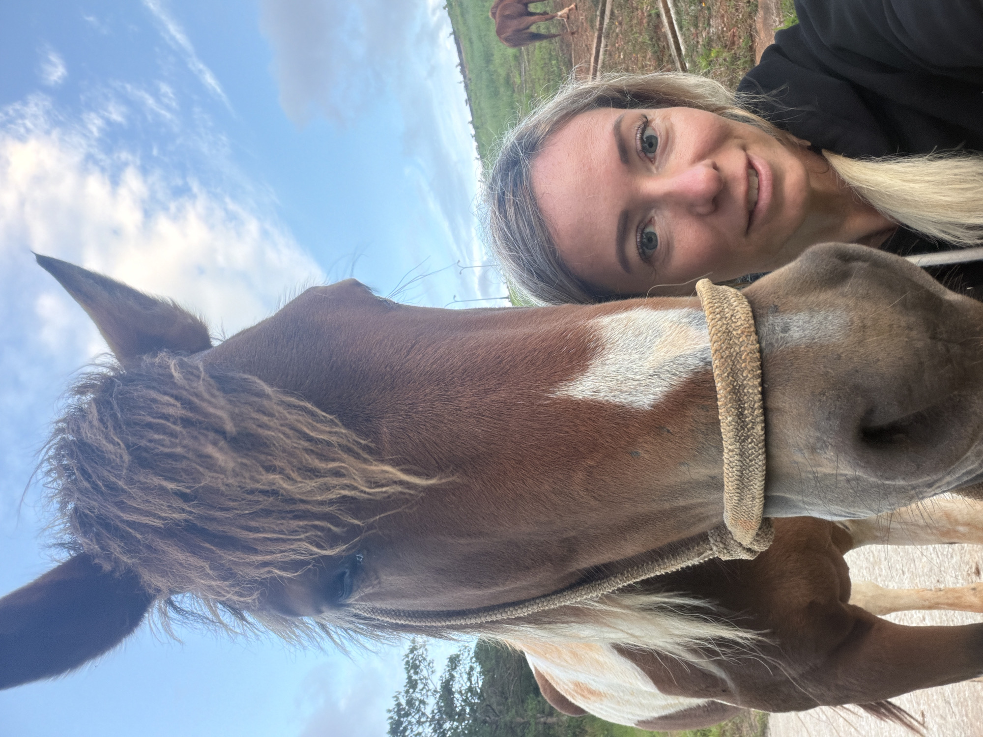 Up close with a pinto horse in Da Lat